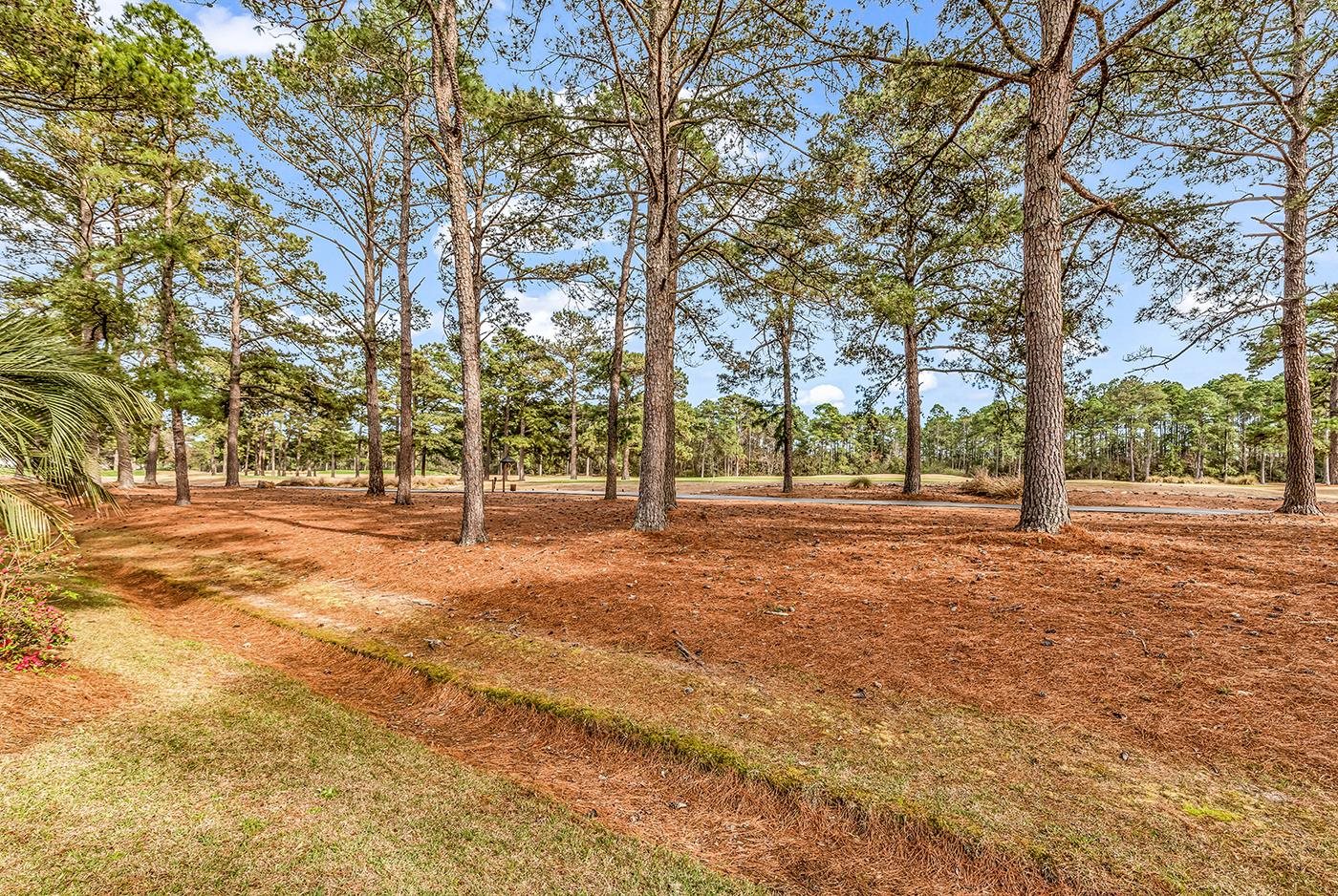 606 Trawler Bay Ct. Property Photo 60