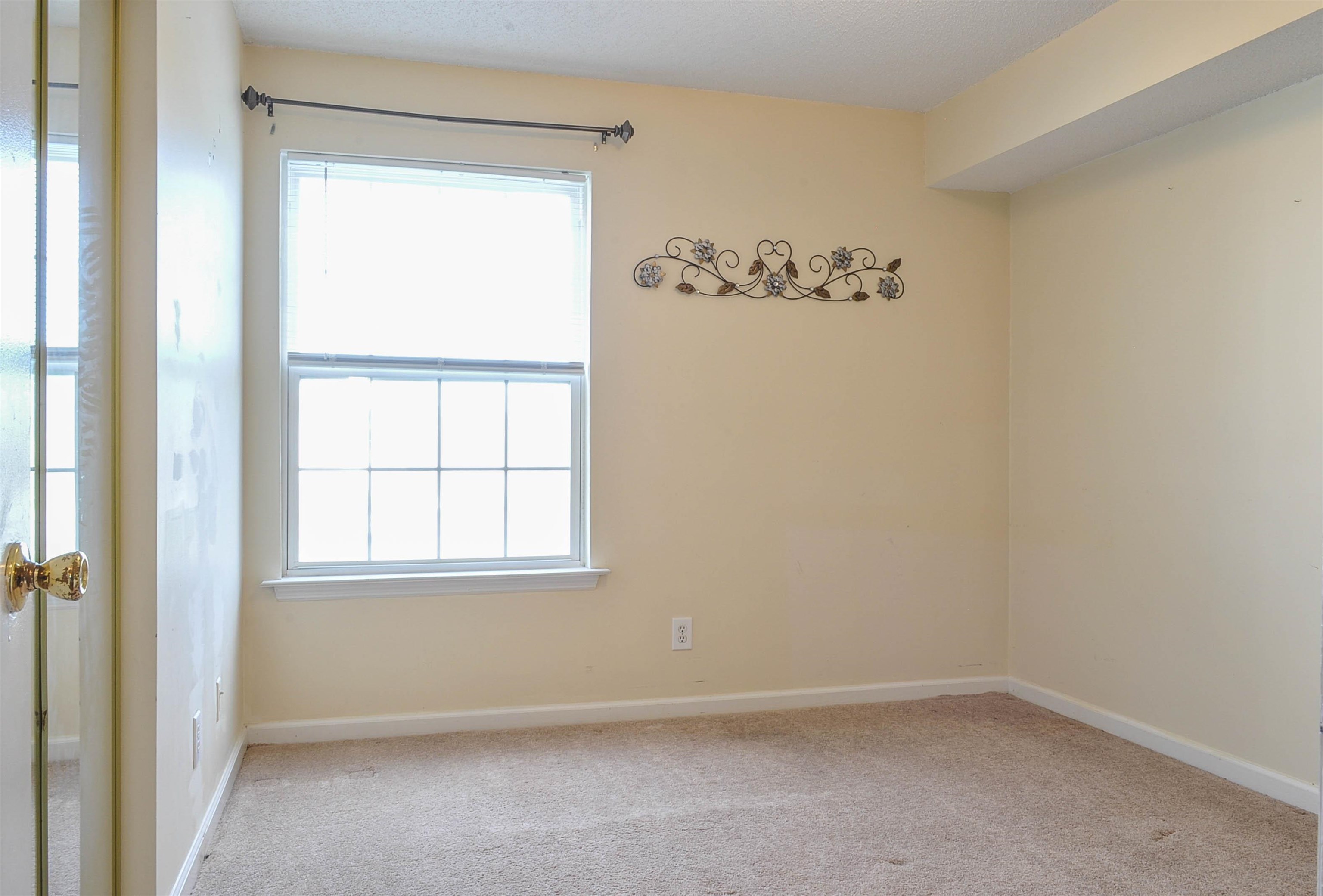 8642 Southbridge Dr. Property Photo 38