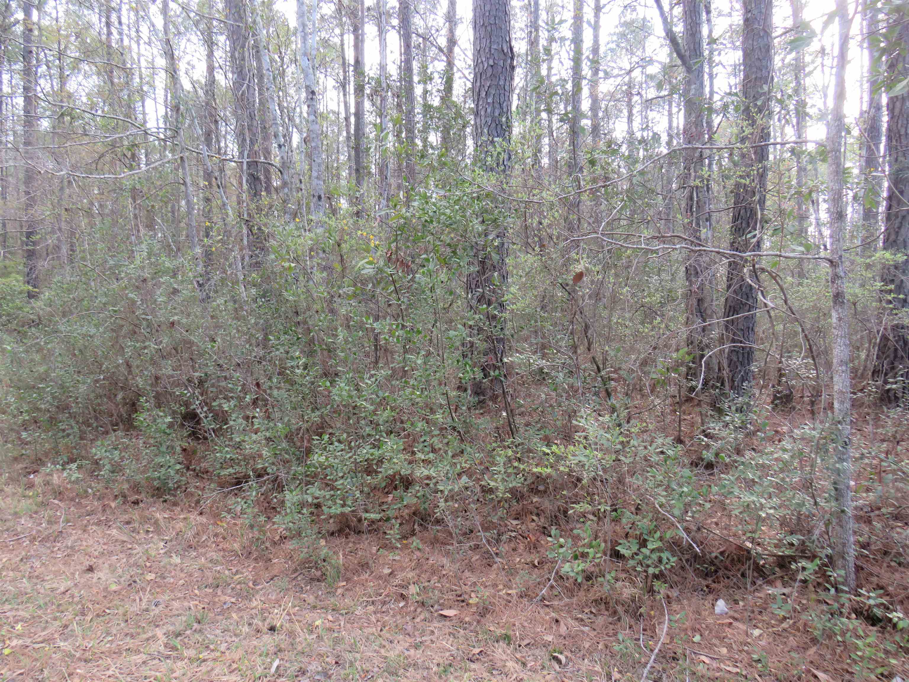 T.b.d. Finnell Rd. Property Photo 1