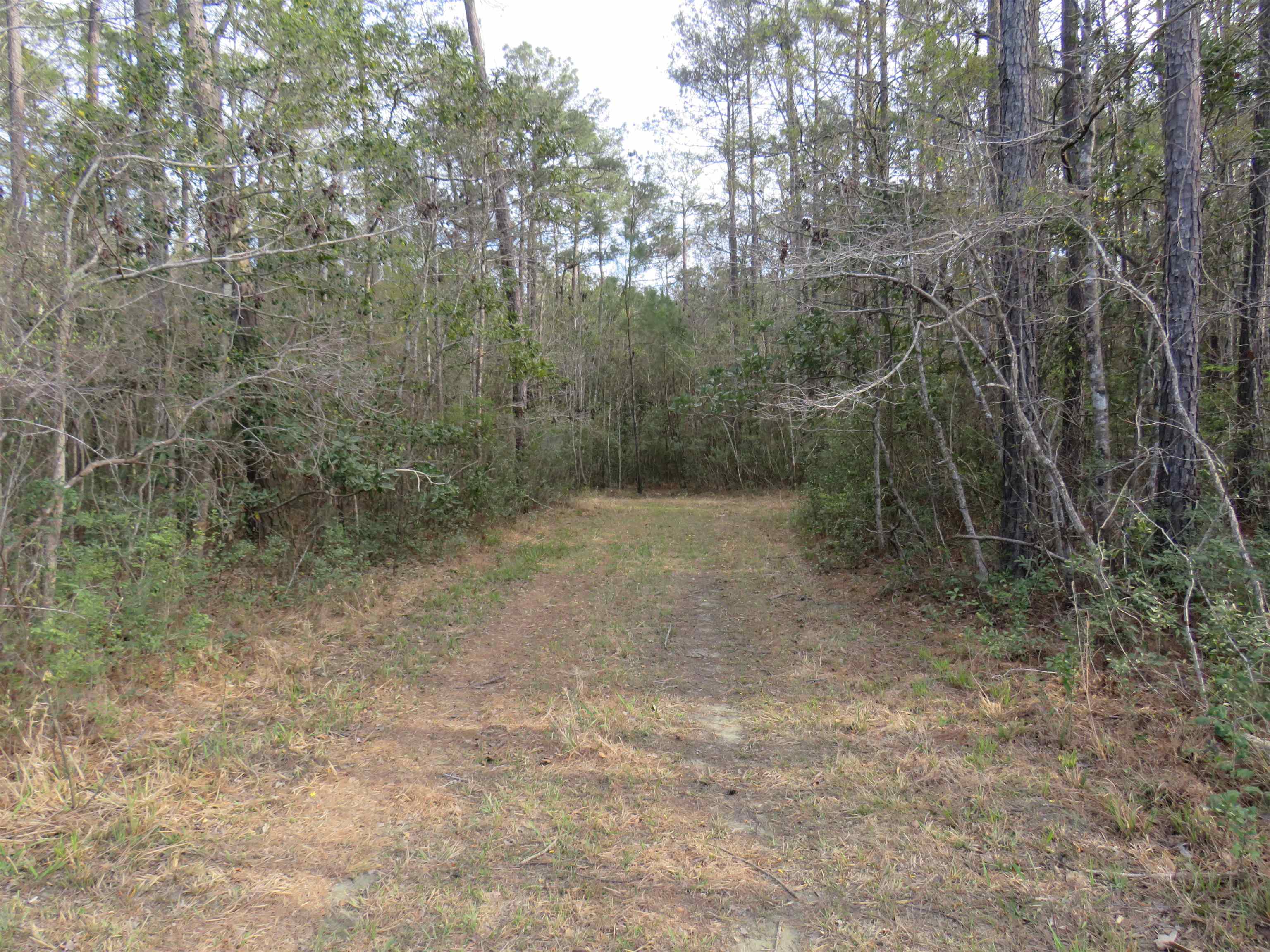 T.b.d. Finnell Rd. Property Photo 4