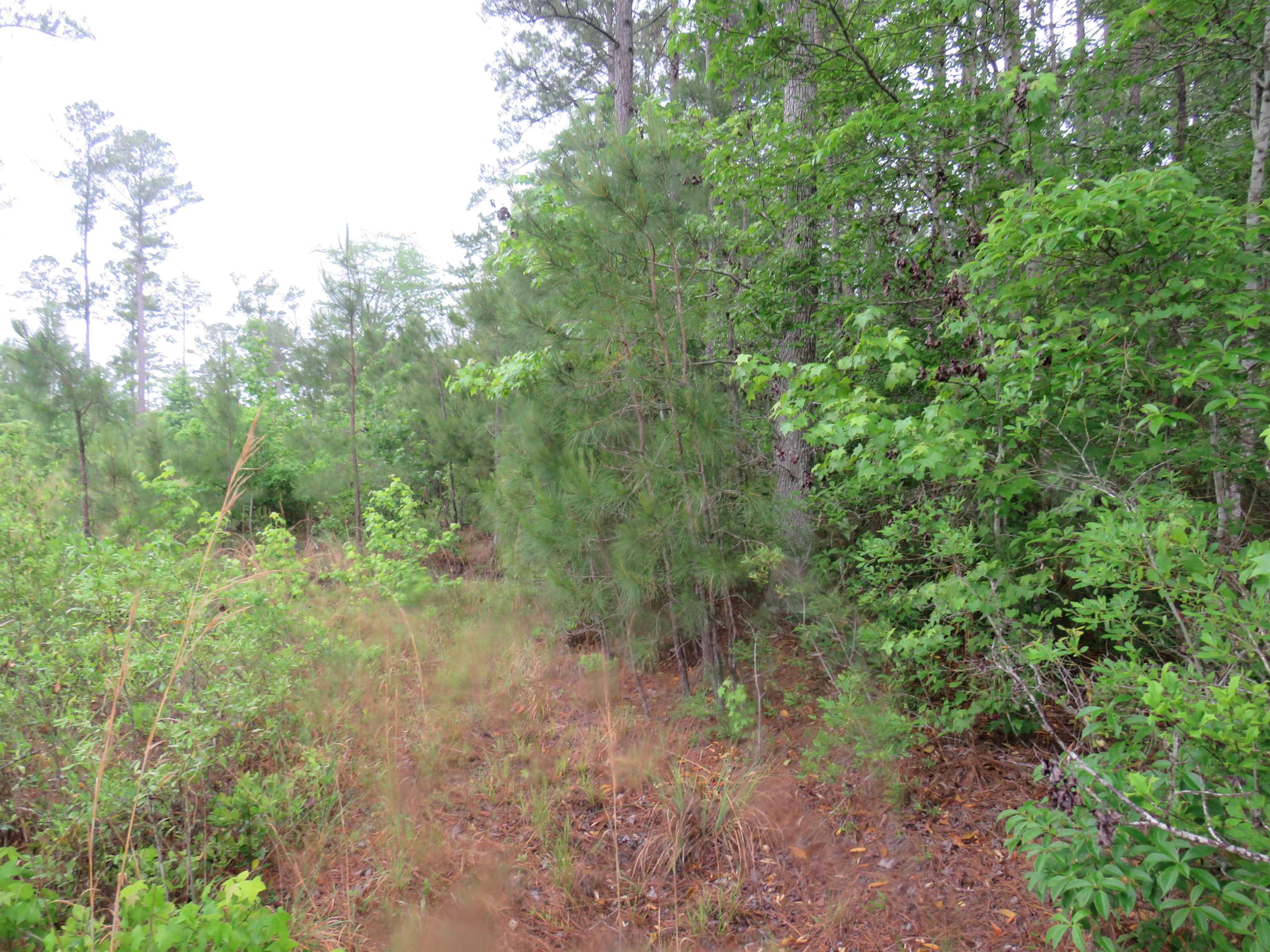 T.b.d. Finnell Rd. Property Photo 9