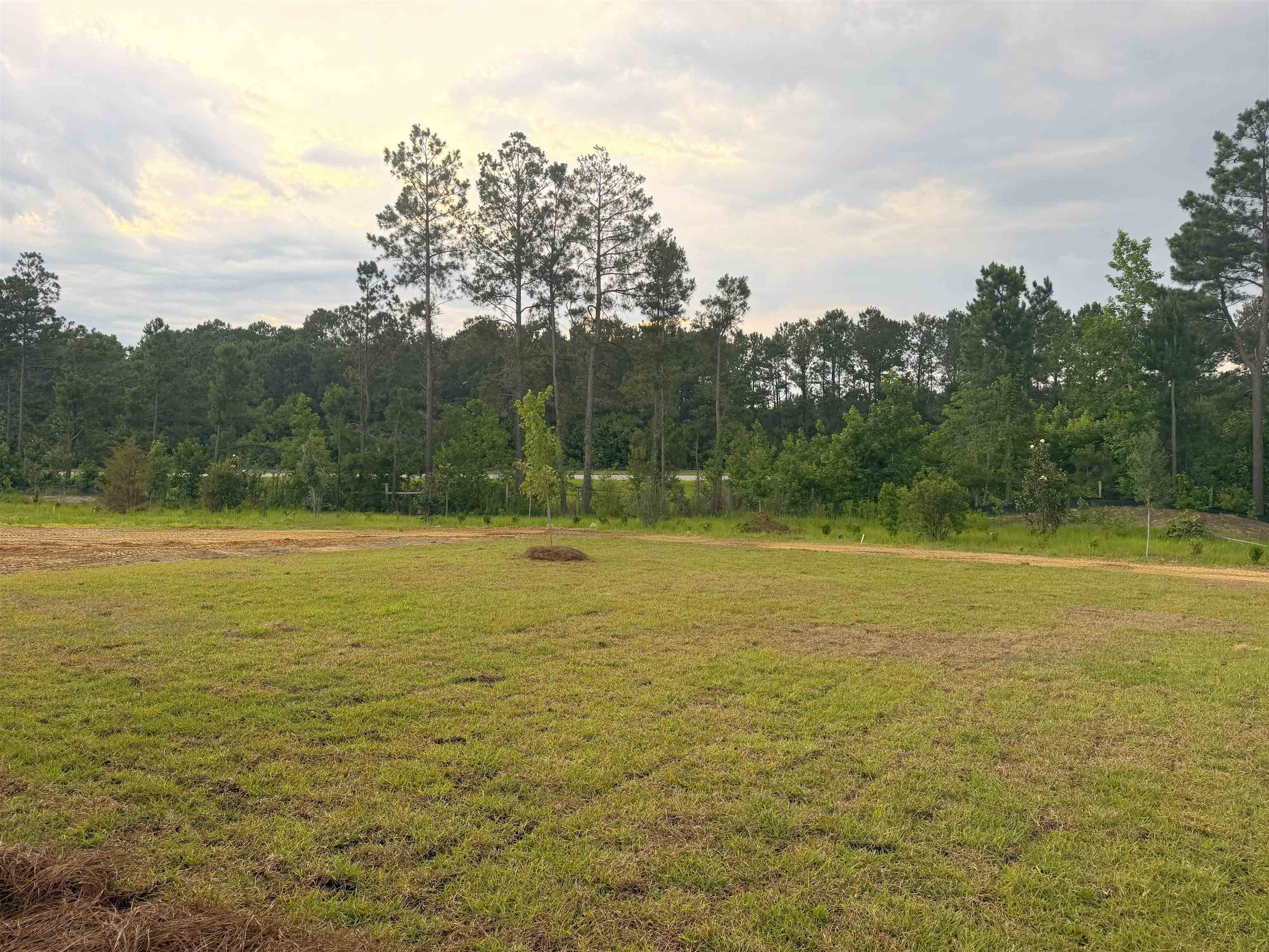 174 Westfield Circle Property Photo 23