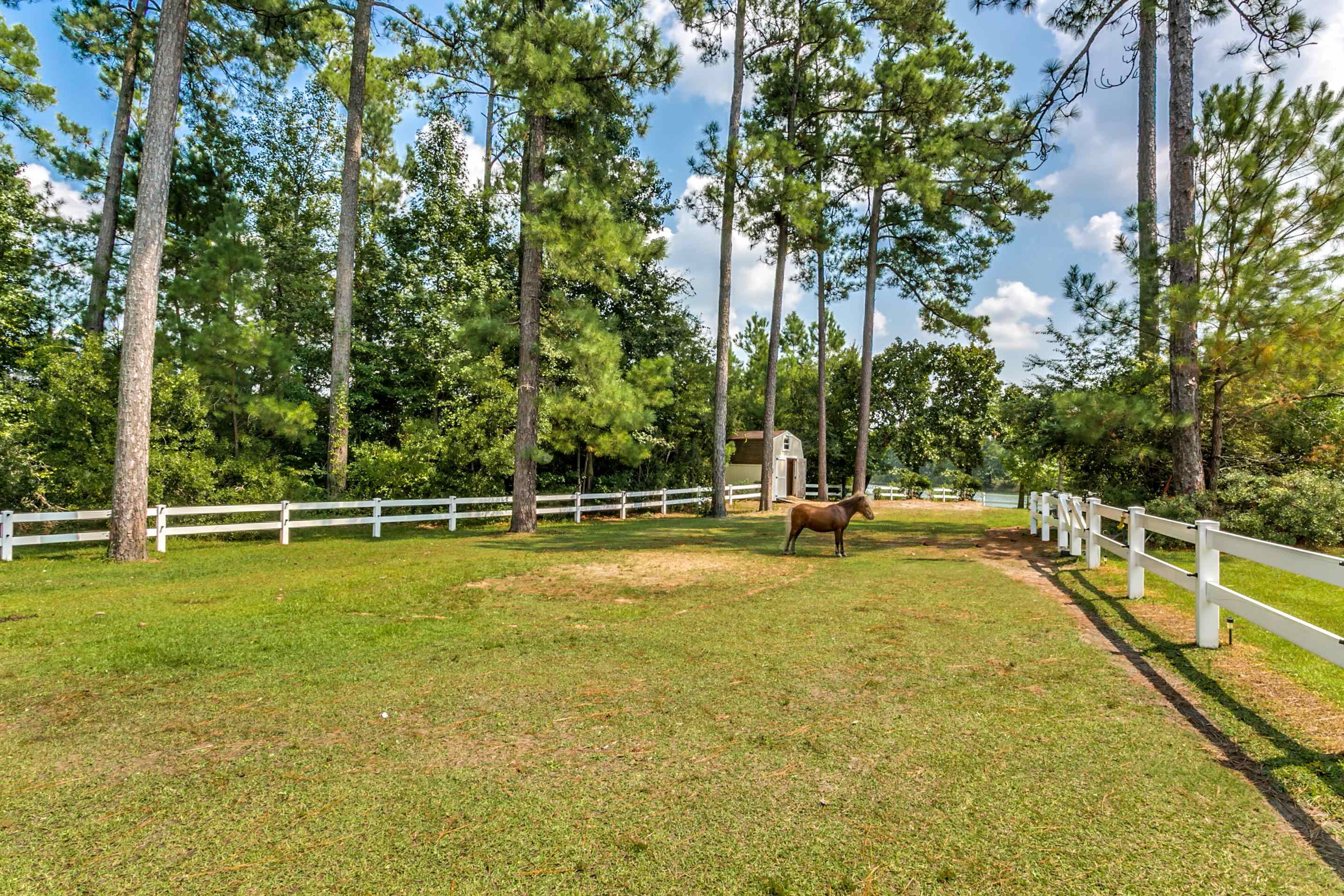 2790 Fowler Rd. Property Photo 37