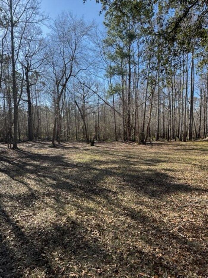5108 Pitch Landing Dr. Property Photo 4