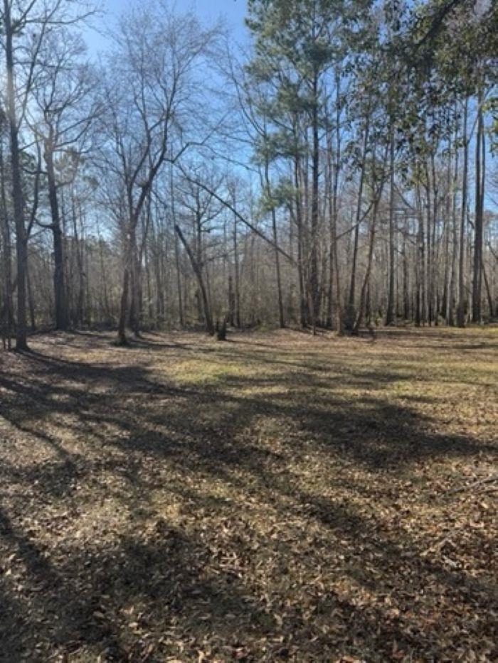 5108 Pitch Landing Dr. Property Photo 5