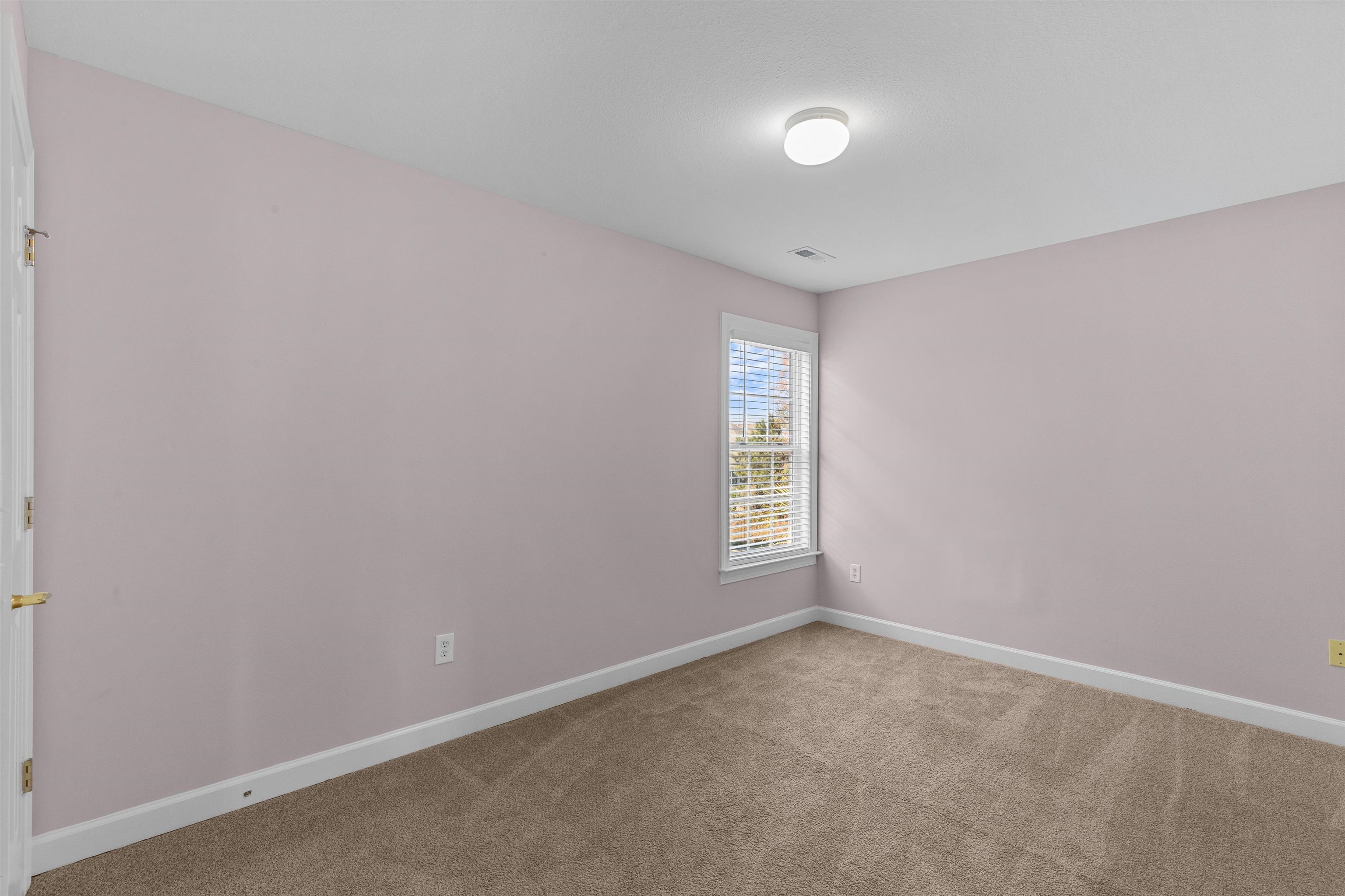 104 Molinia Dr. Property Photo 41