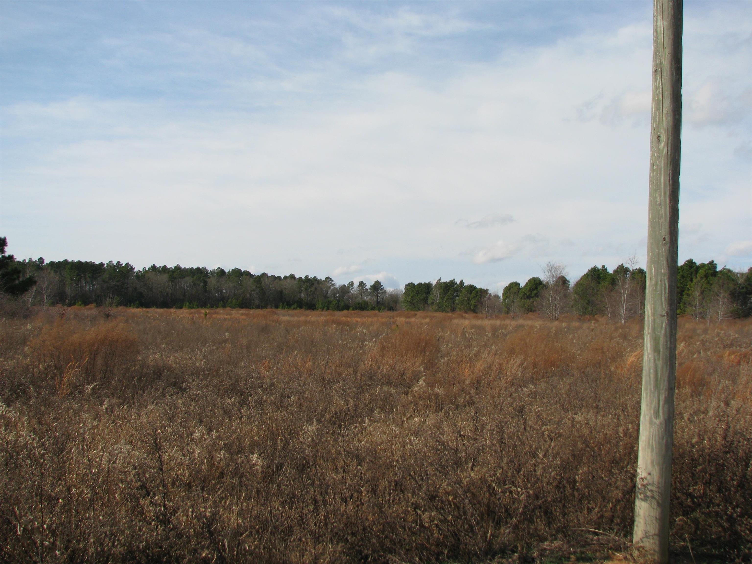 0 Cannery Rd Property Photo 10