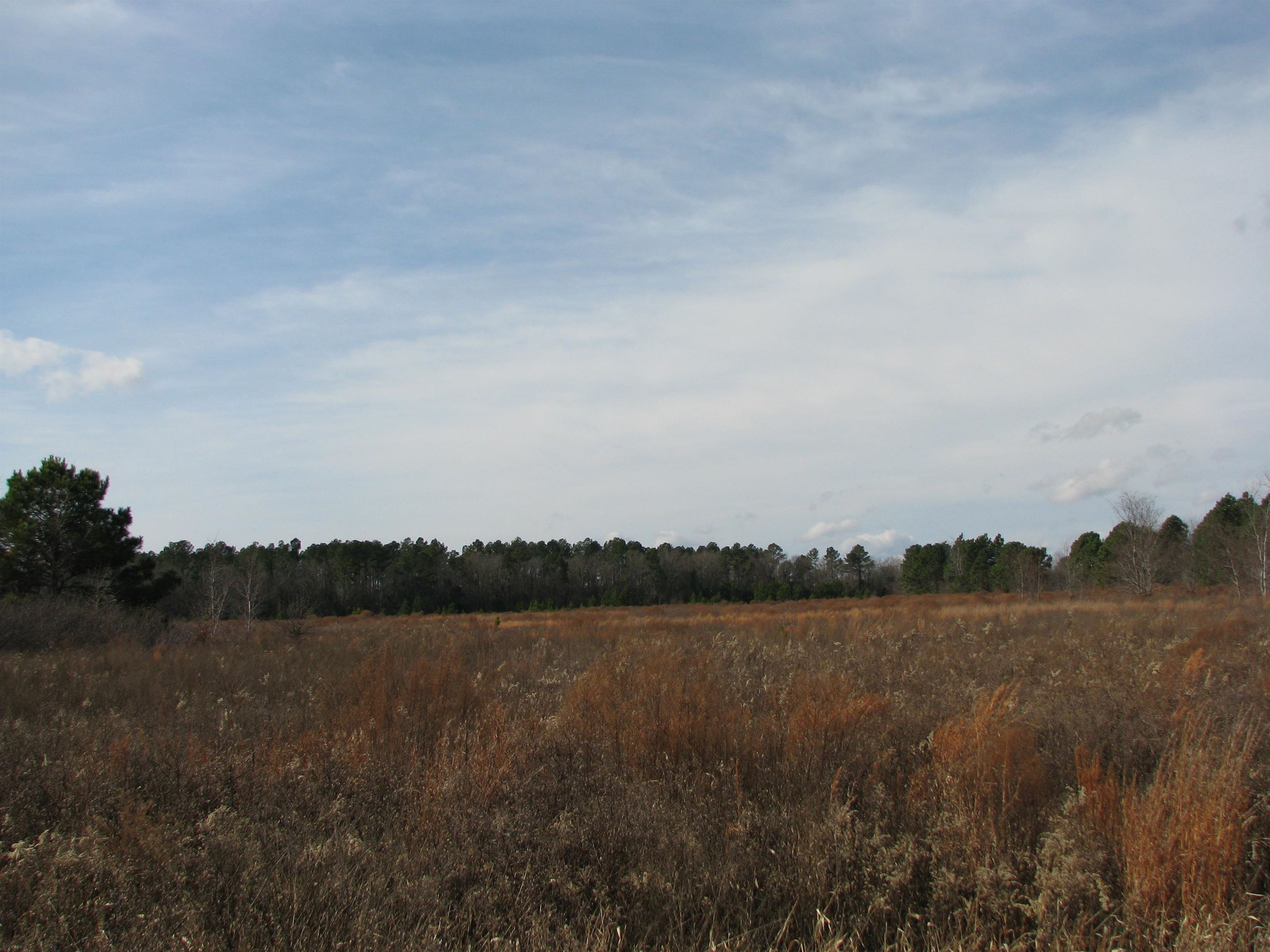 0 Cannery Rd Property Photo 11