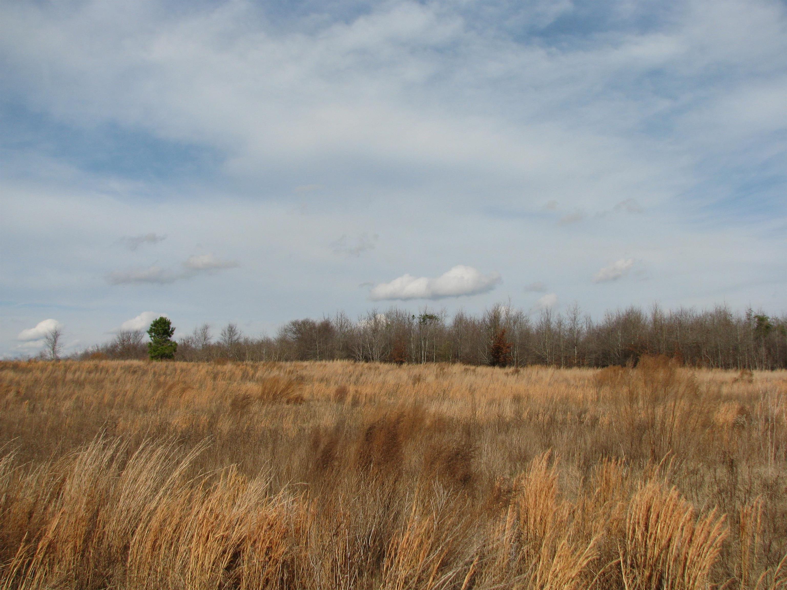 0 Cannery Rd Property Photo 14