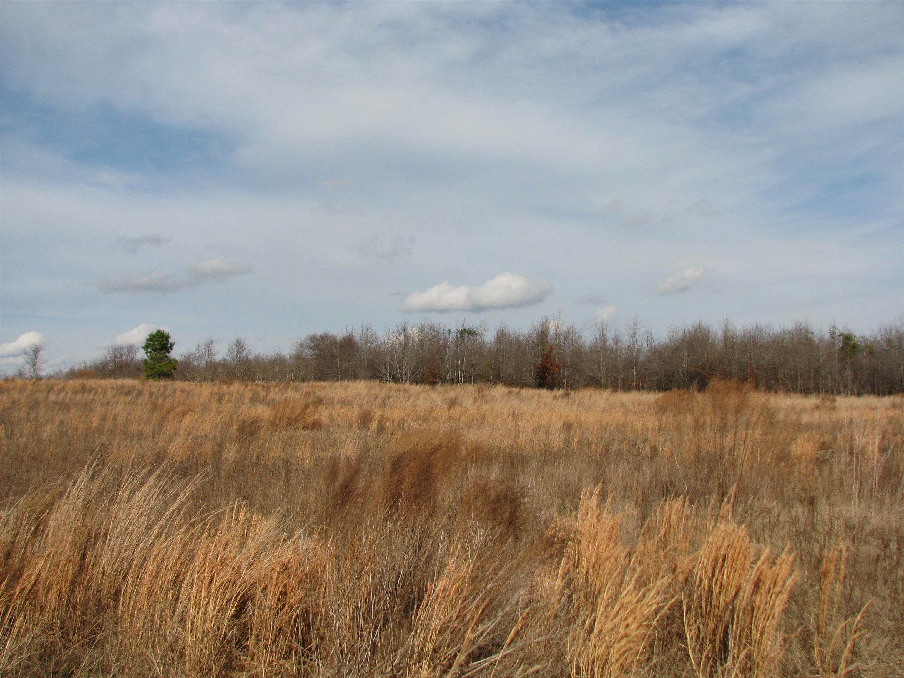 0 Cannery Rd Property Photo 15