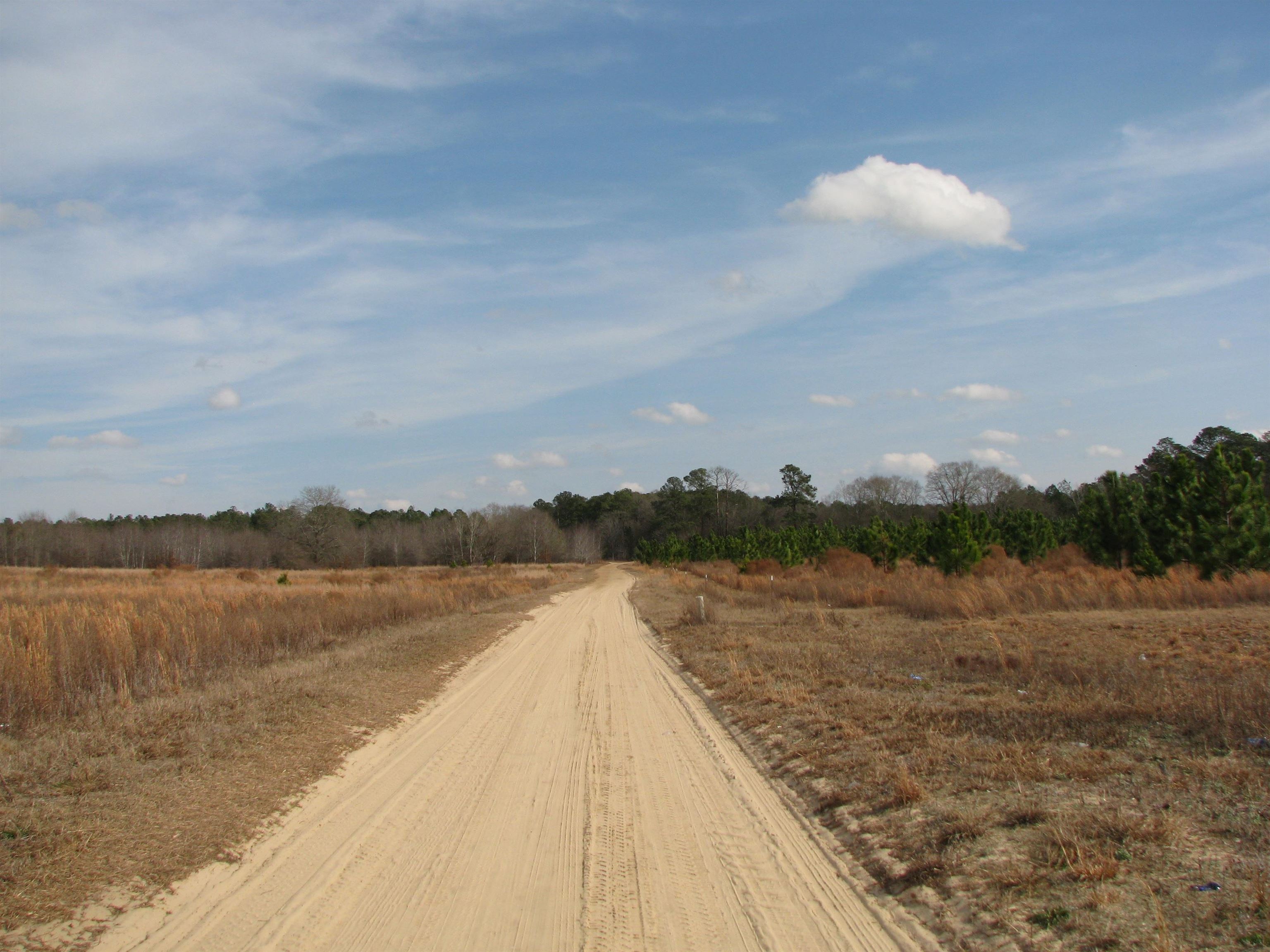 0 Cannery Rd Property Photo 18
