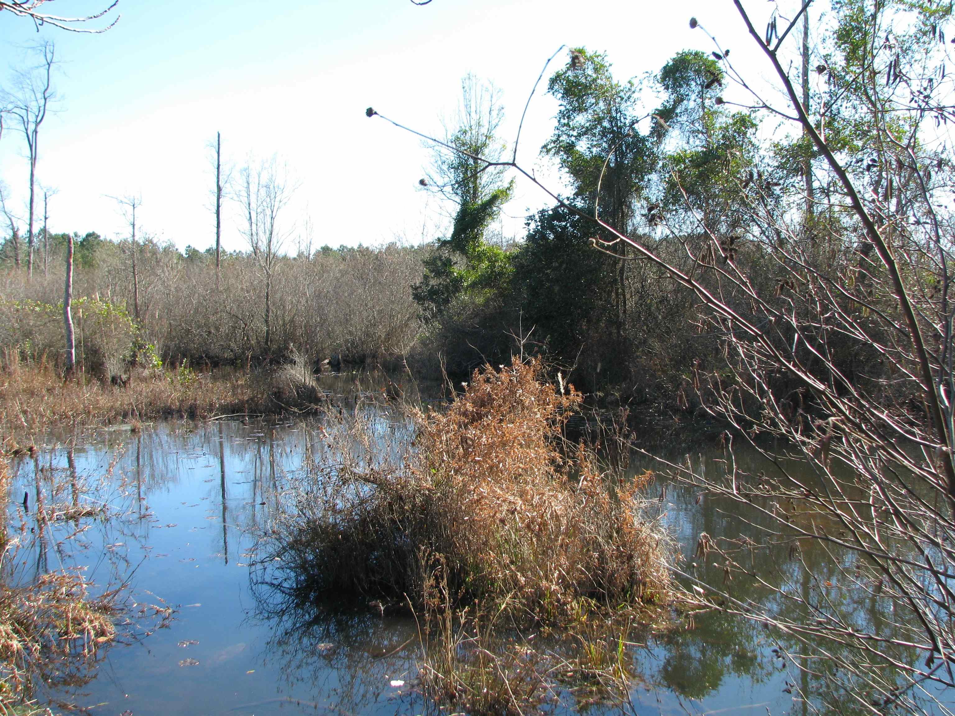 0 Cannery Rd Property Photo 35