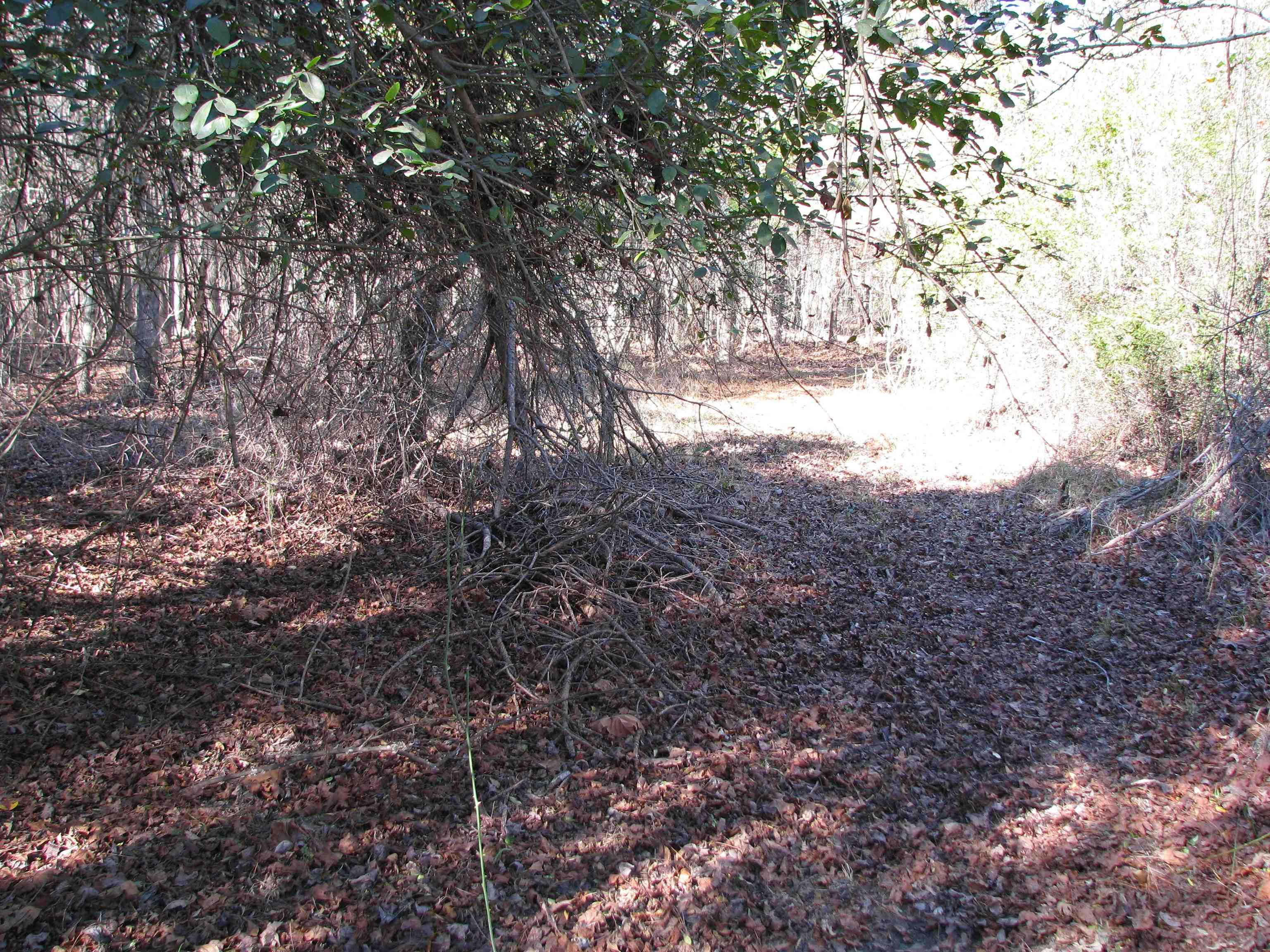 0 Cannery Rd Property Photo 36