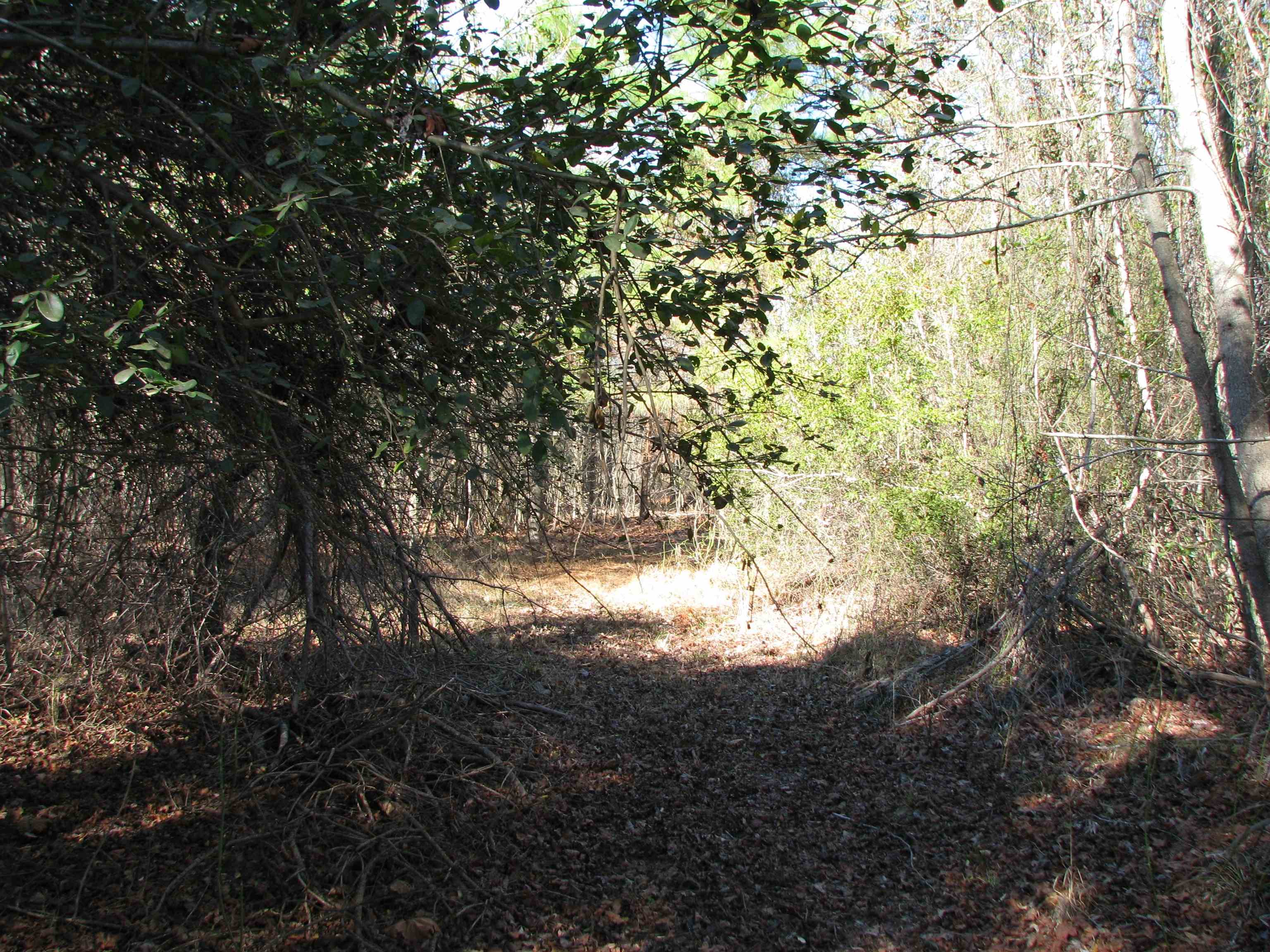 0 Cannery Rd Property Photo 38