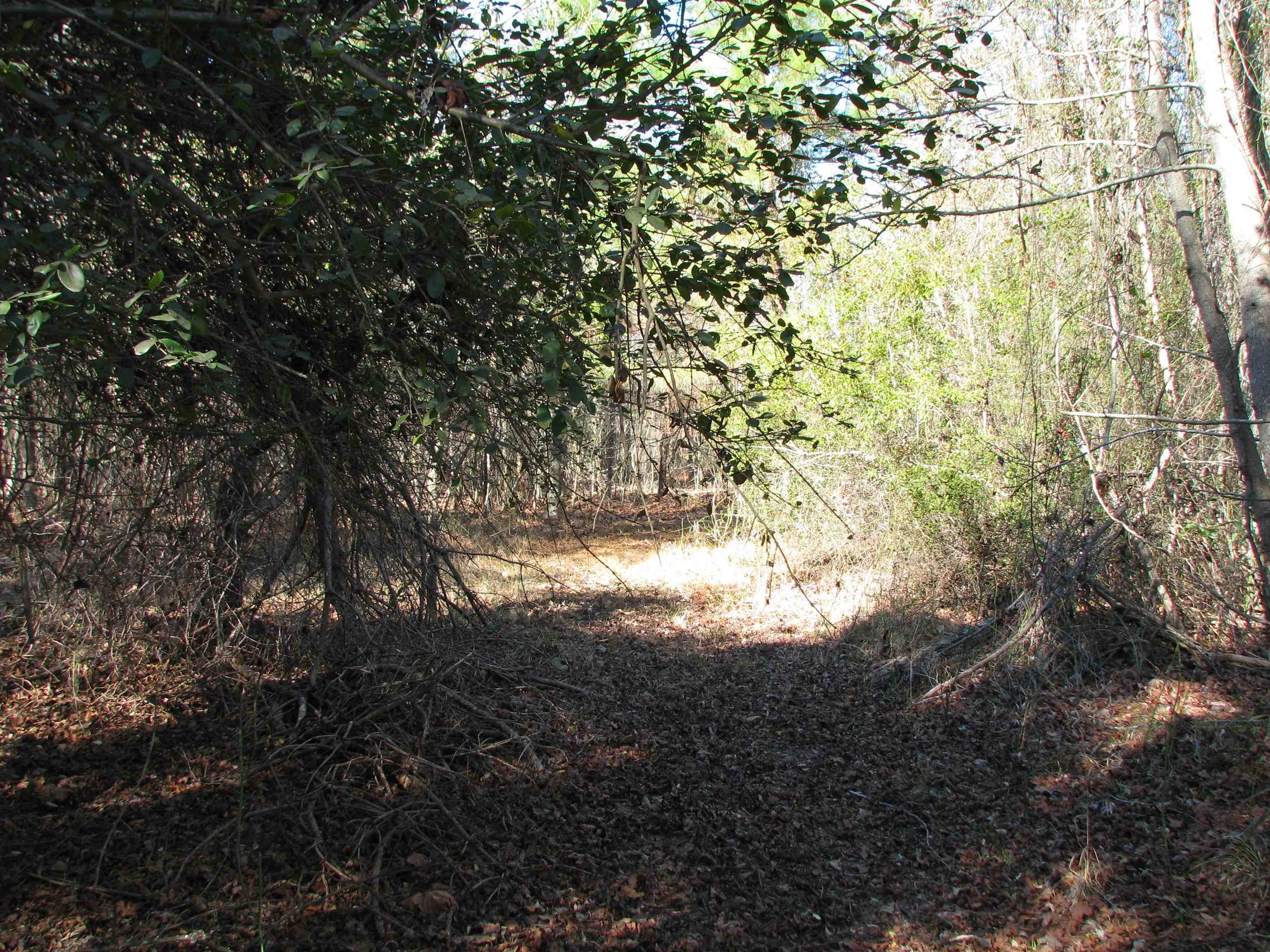 0 Cannery Rd Property Photo 39