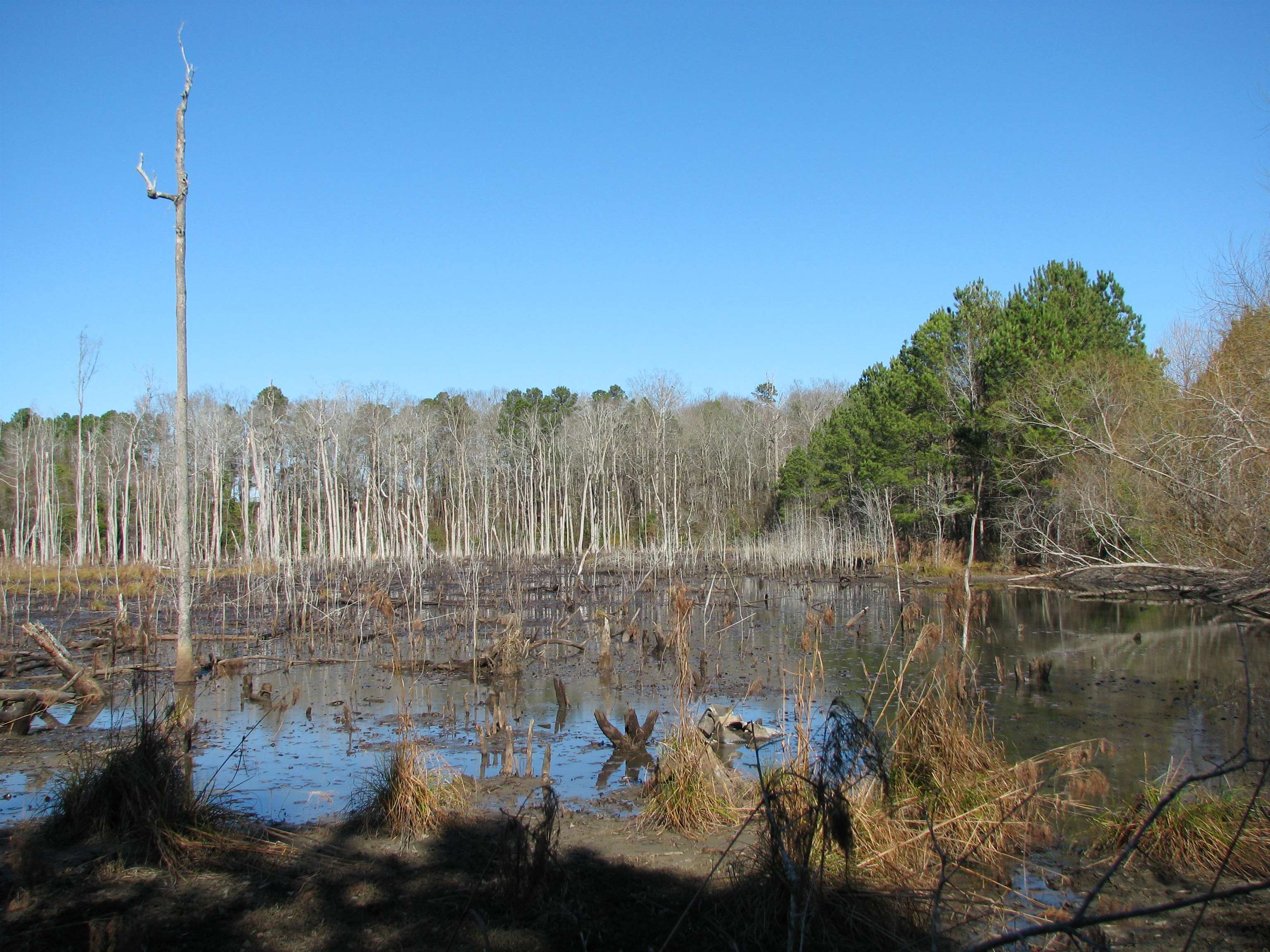 0 Cannery Rd Property Photo 41