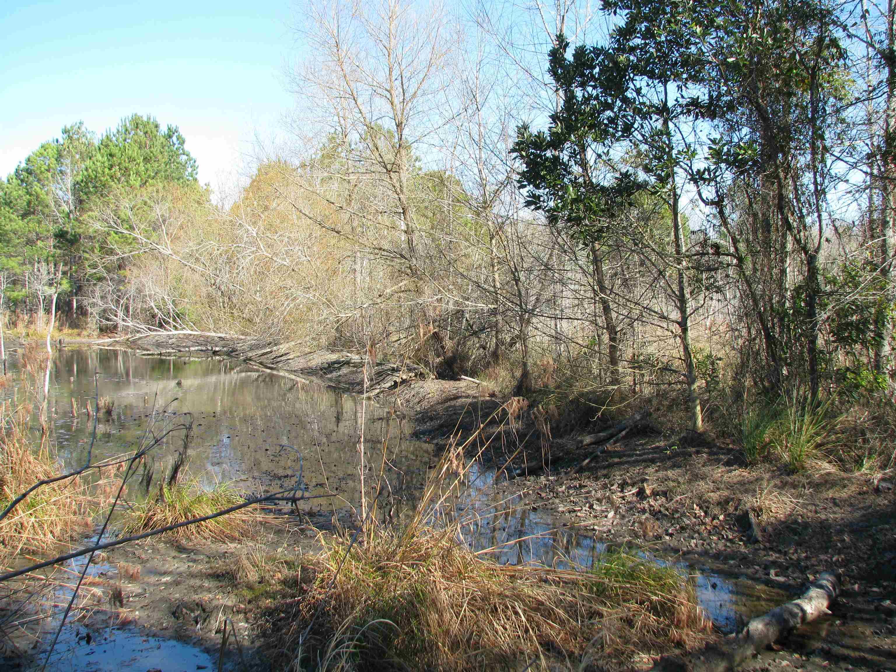 0 Cannery Rd Property Photo 42
