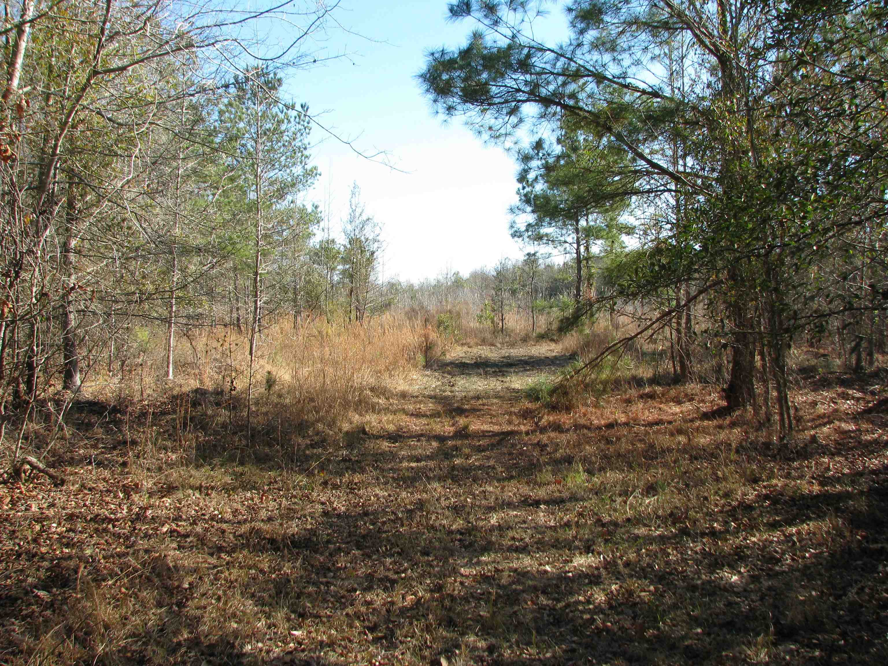 0 Cannery Rd Property Photo 44