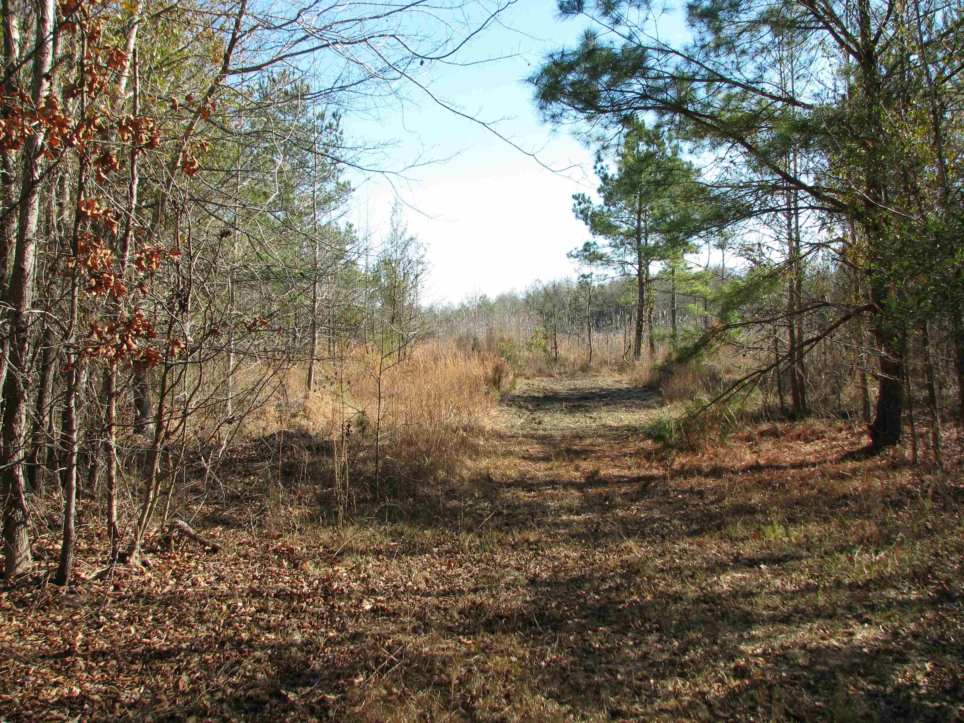 0 Cannery Rd Property Photo 45
