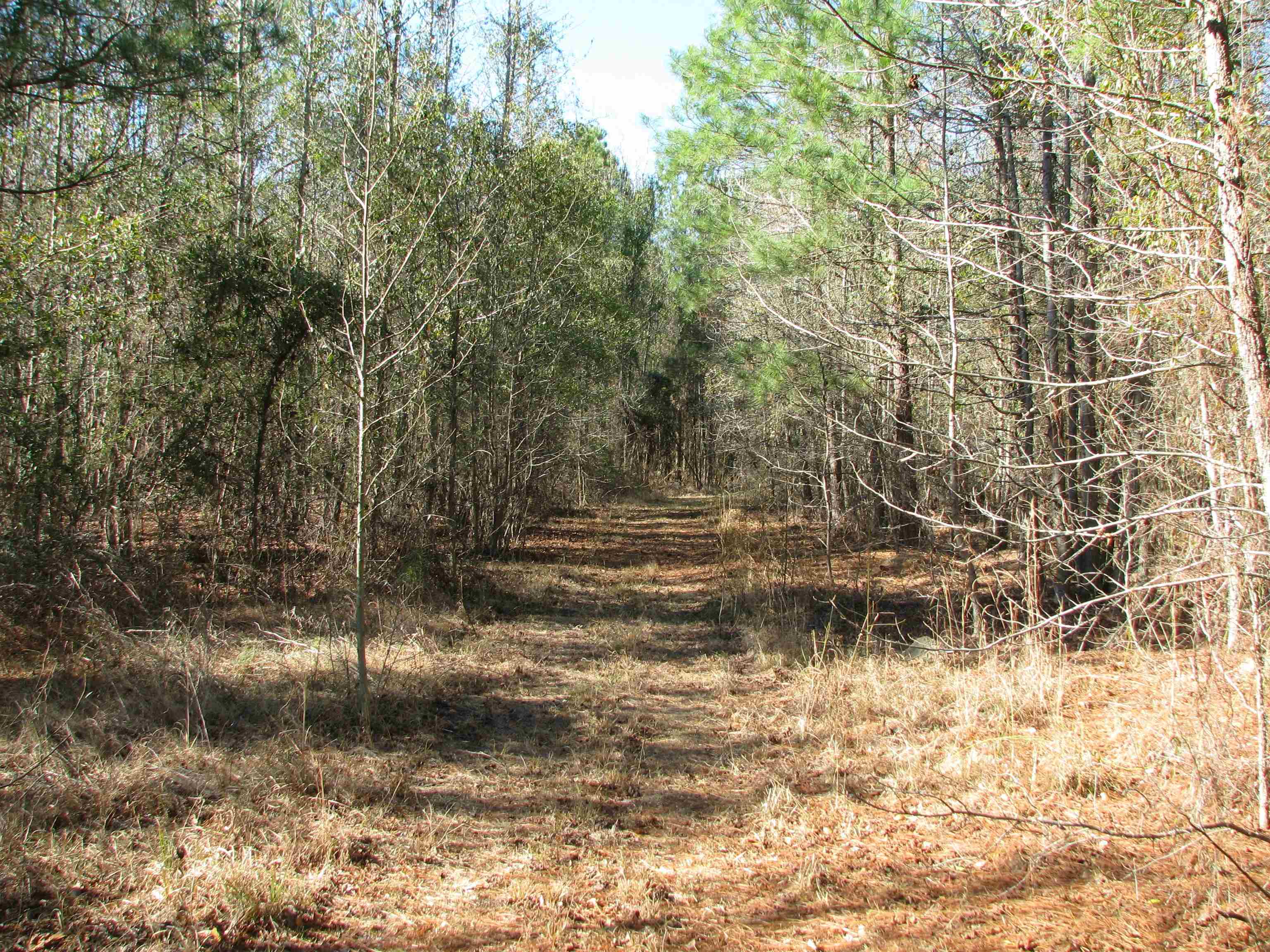 0 Cannery Rd Property Photo 46