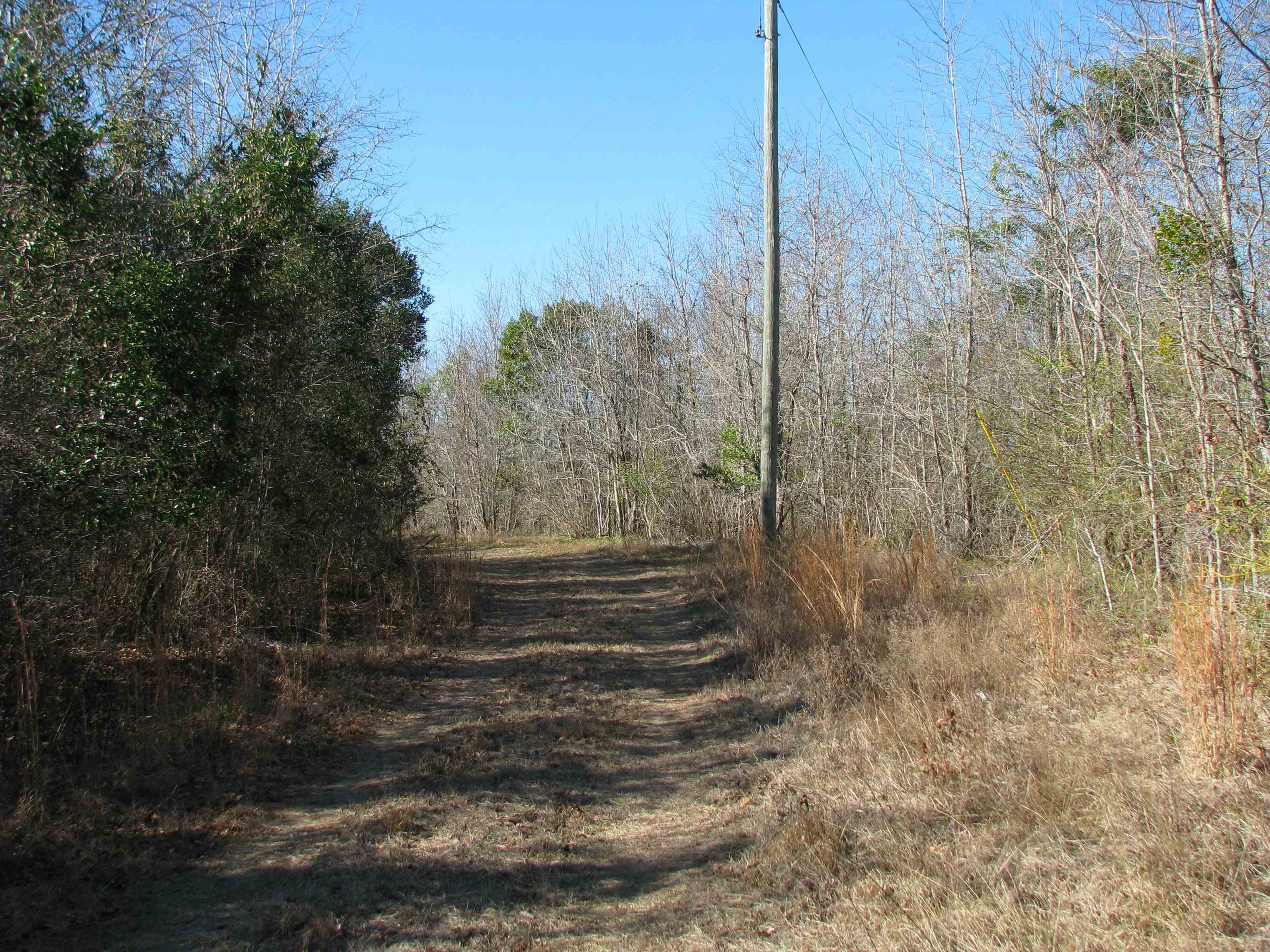 0 Cannery Rd Property Photo 47