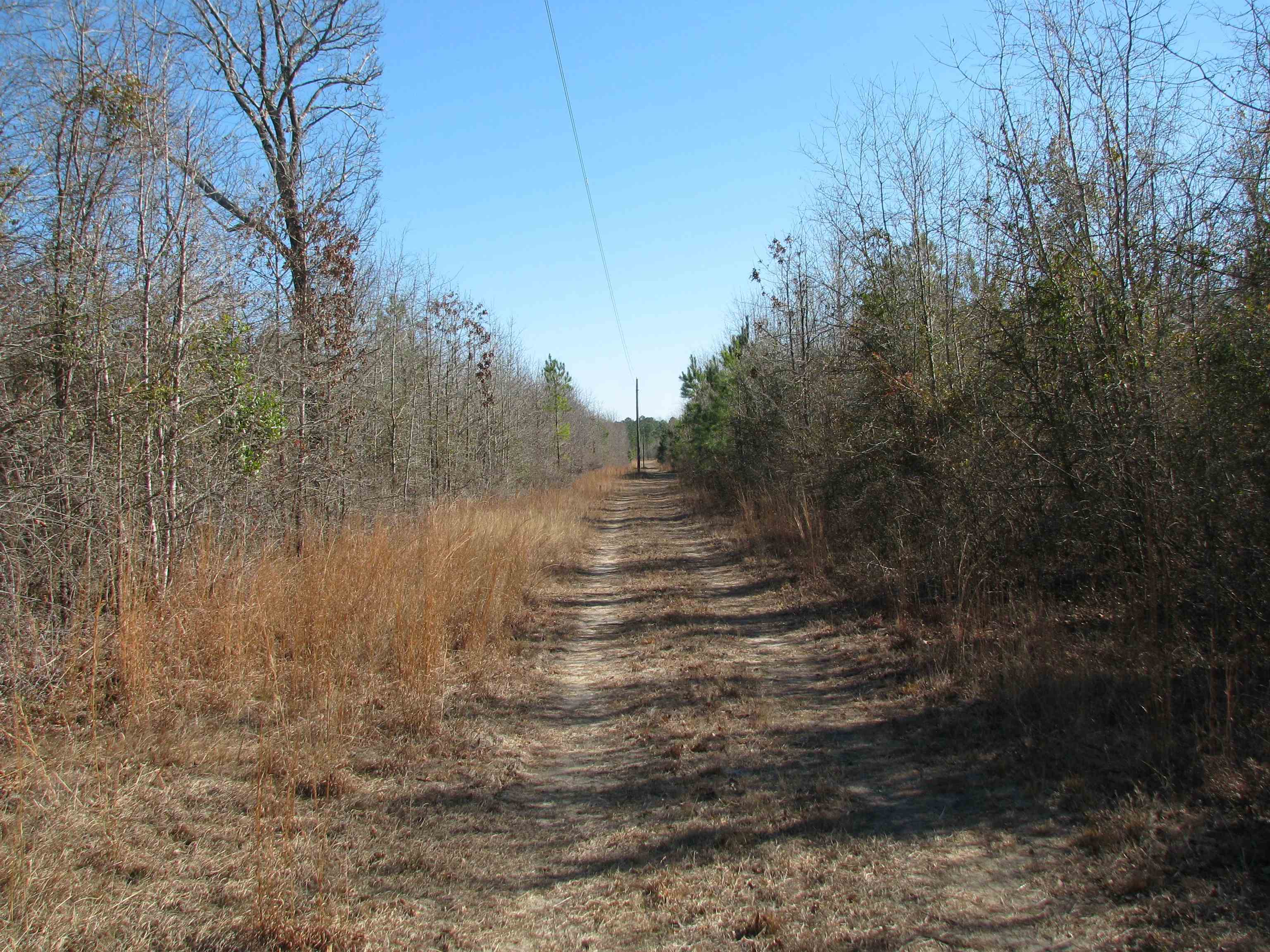0 Cannery Rd Property Photo 48