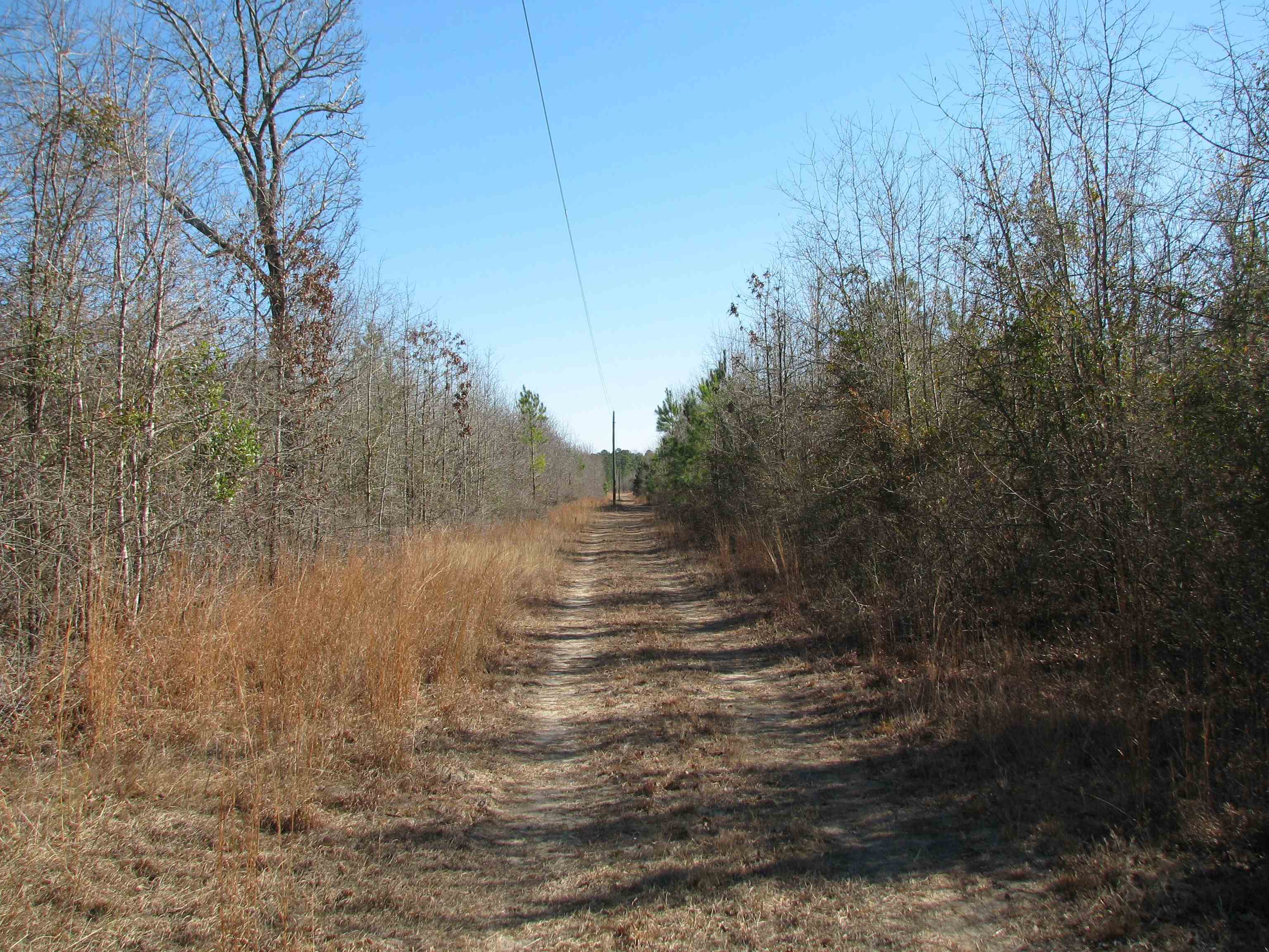0 Cannery Rd Property Photo 49