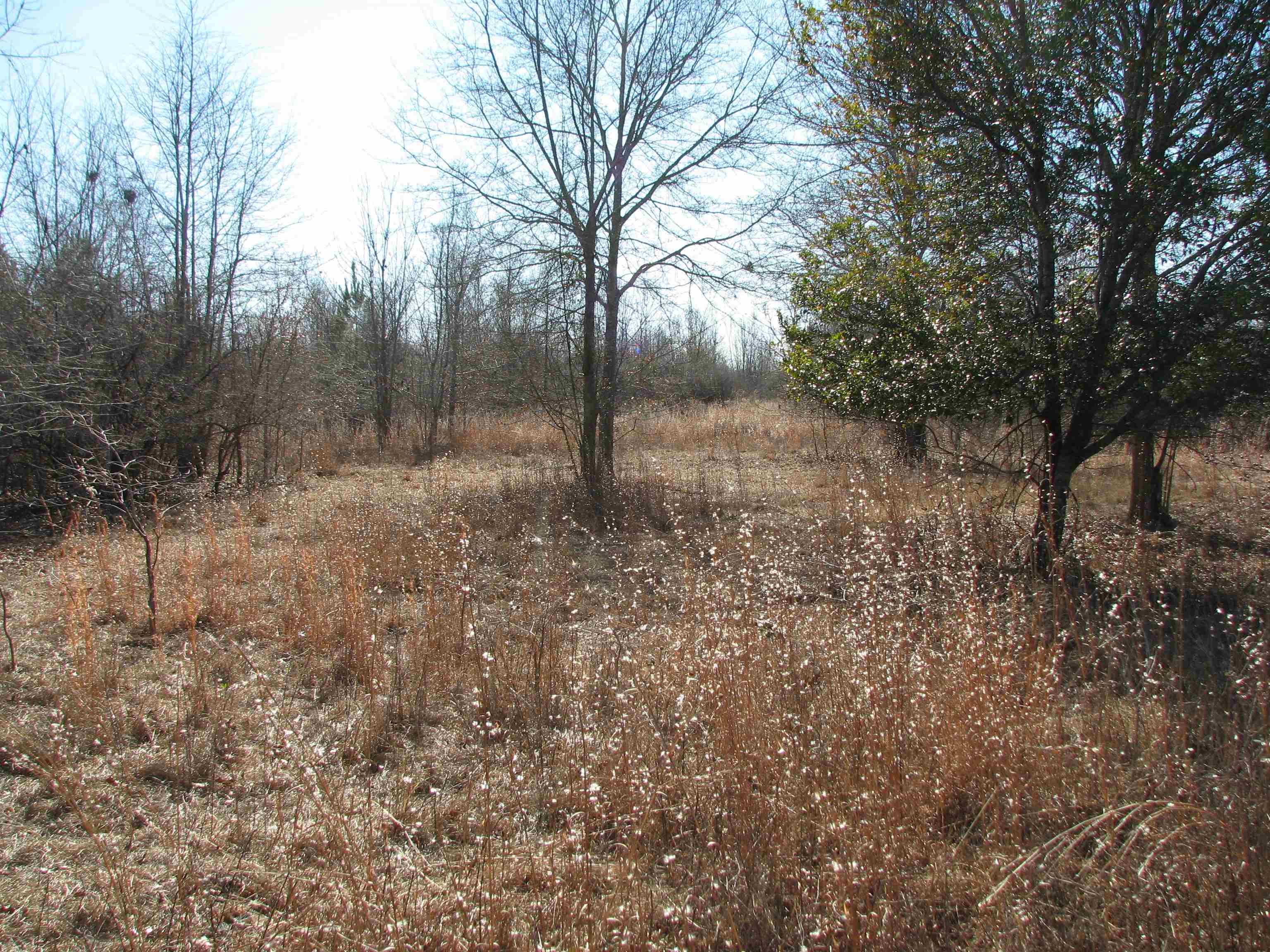 0 Cannery Rd Property Photo 52