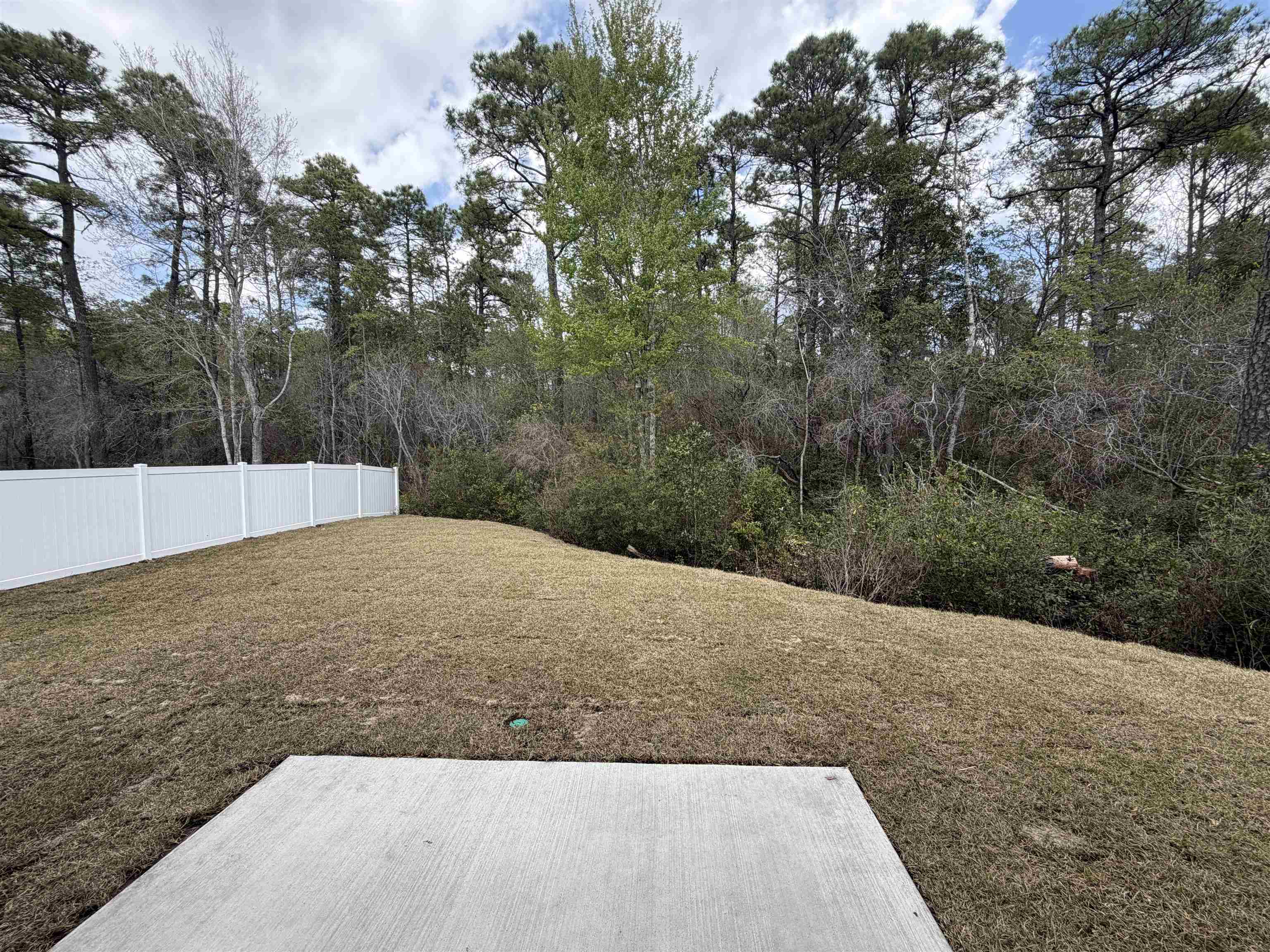 3238 Moss Bridge Ln. Property Photo 3