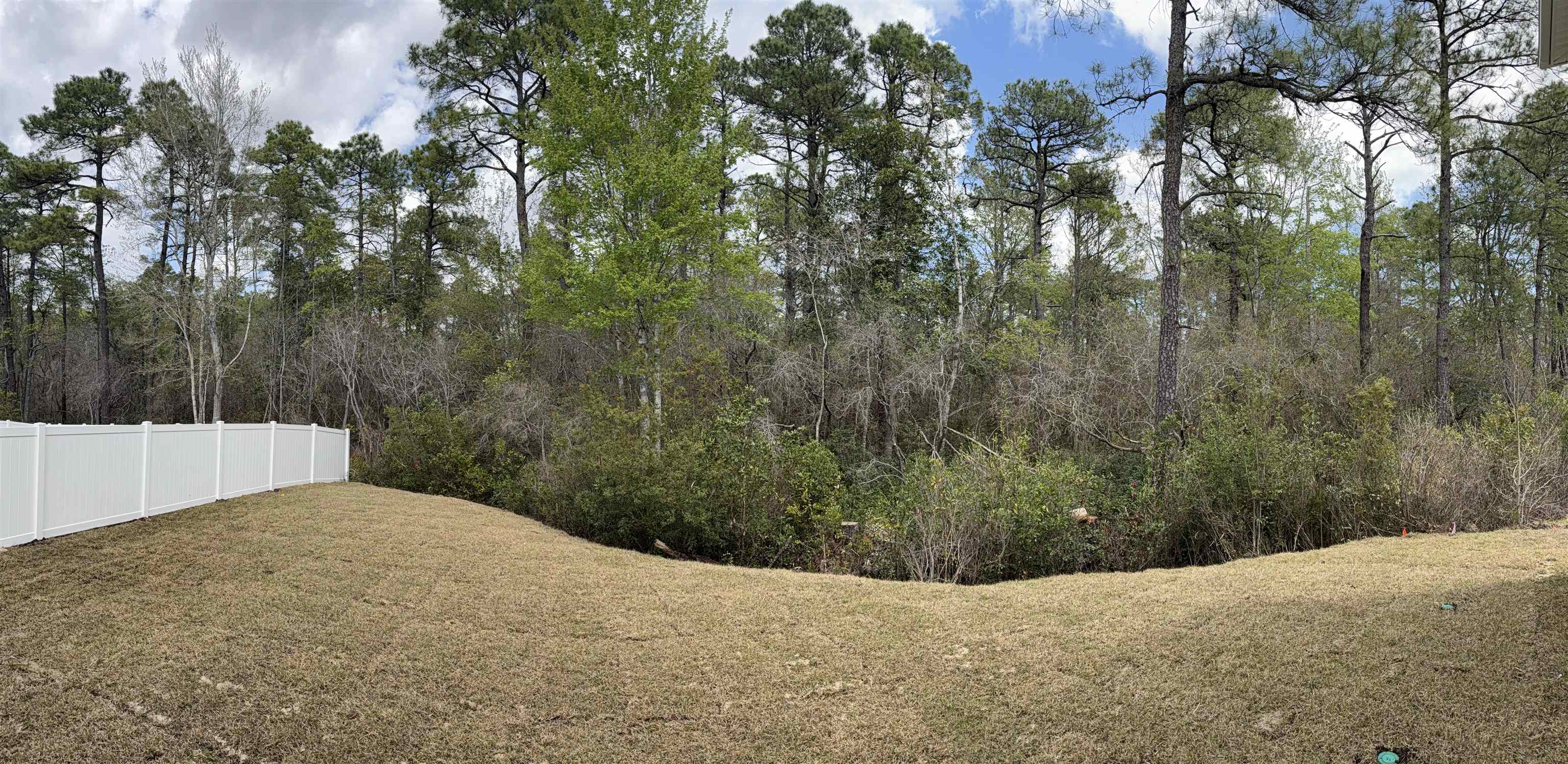 3238 Moss Bridge Ln. Property Photo 4