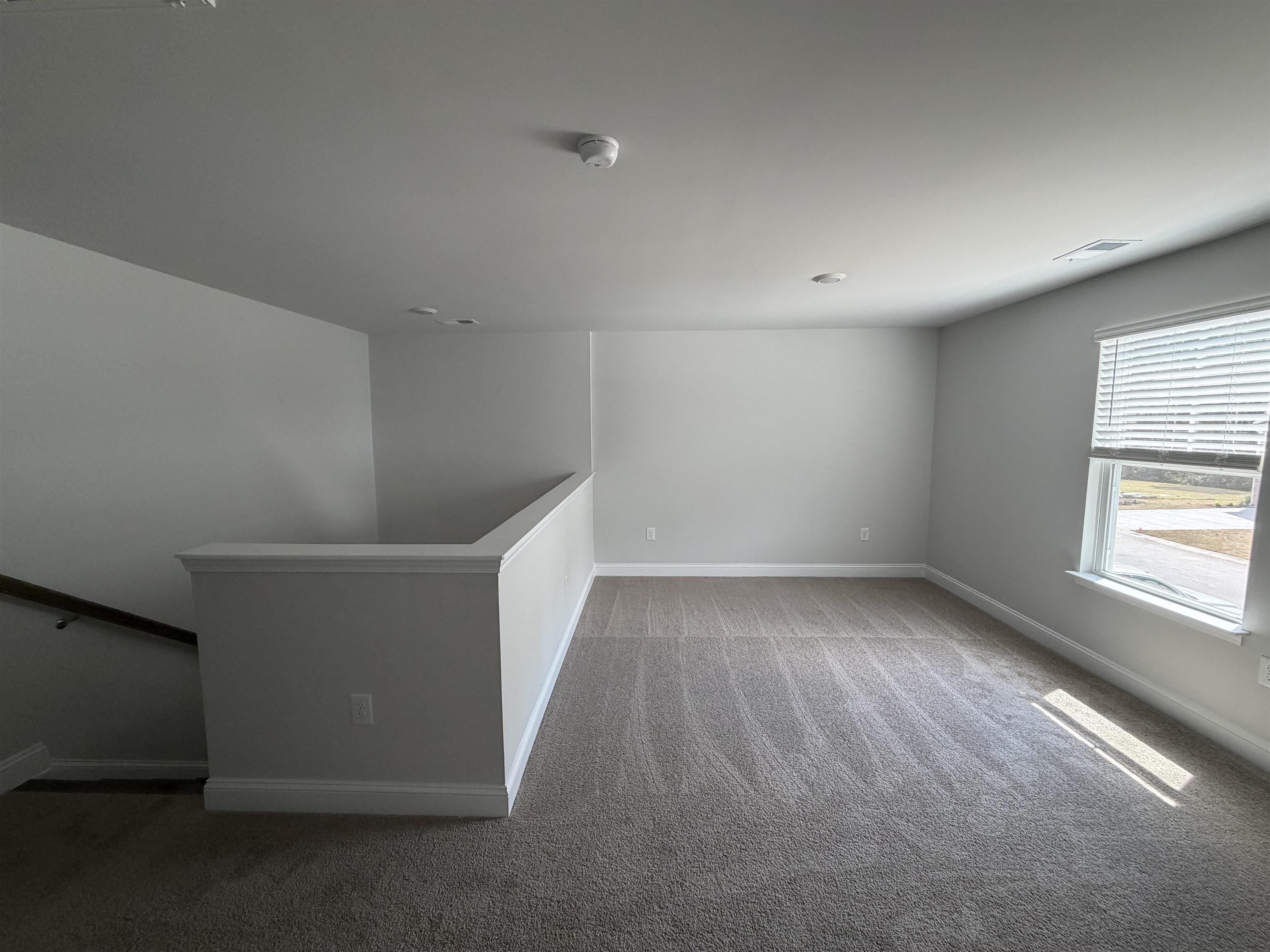 3238 Moss Bridge Ln. Property Photo 11