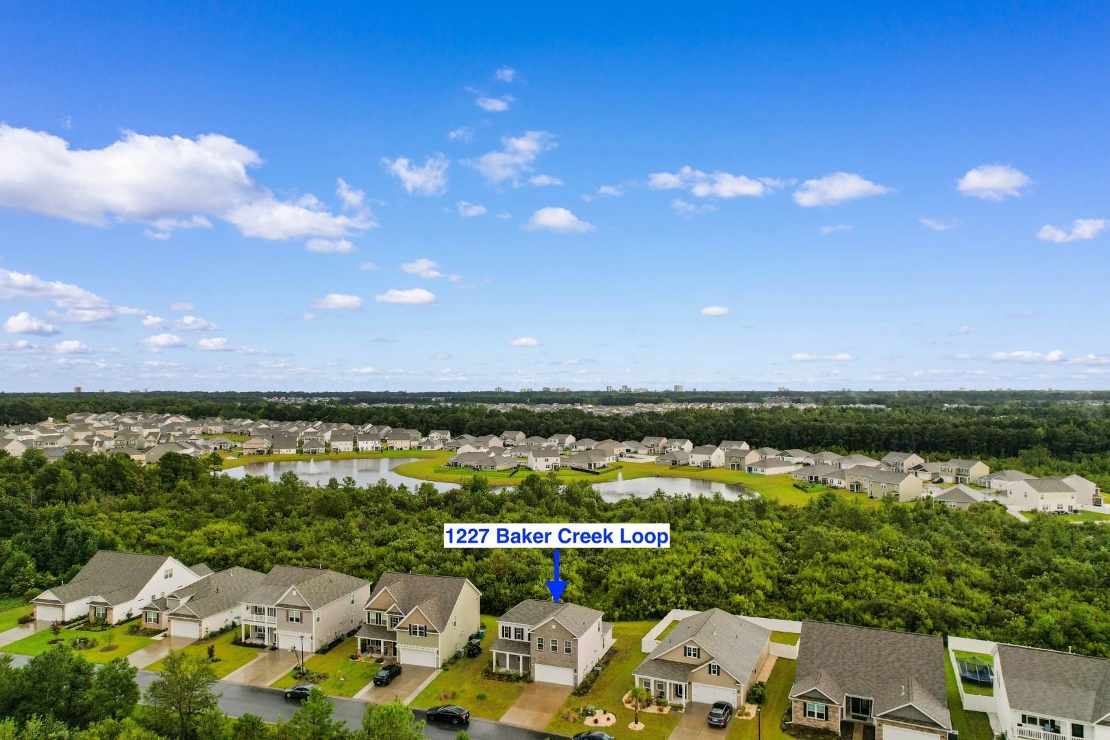 1227 Baker Creek Loop Property Photo 38