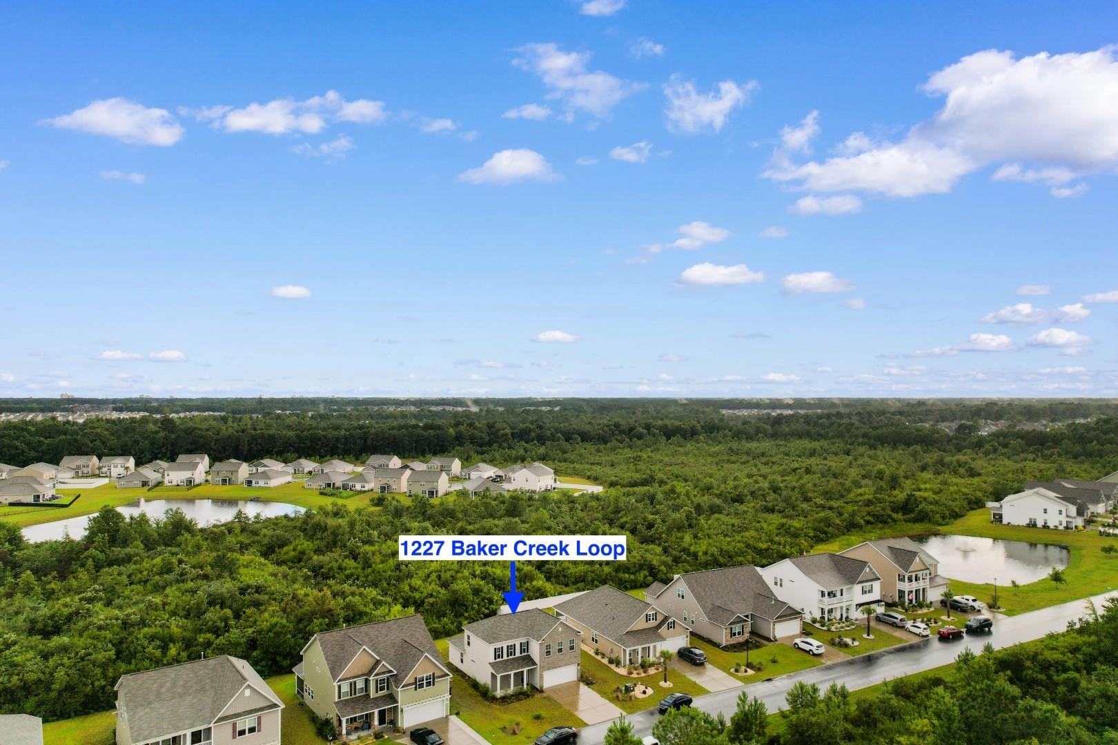 1227 Baker Creek Loop Property Photo 39