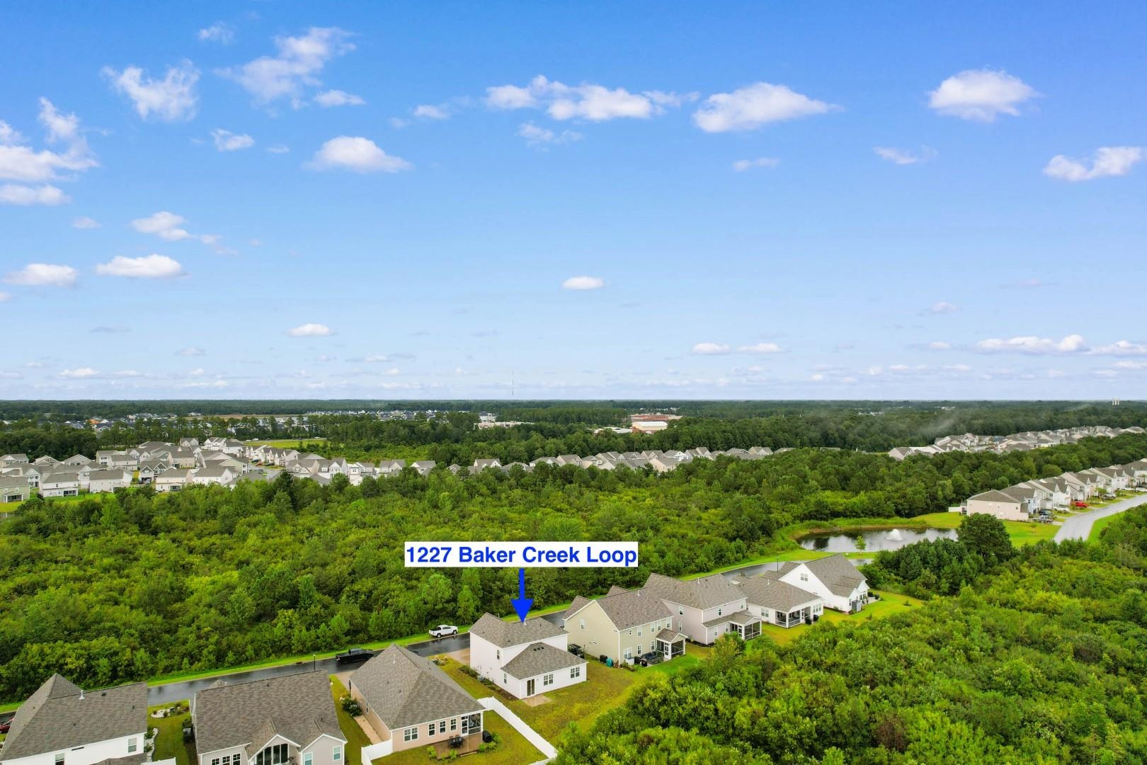 1227 Baker Creek Loop Property Photo 40
