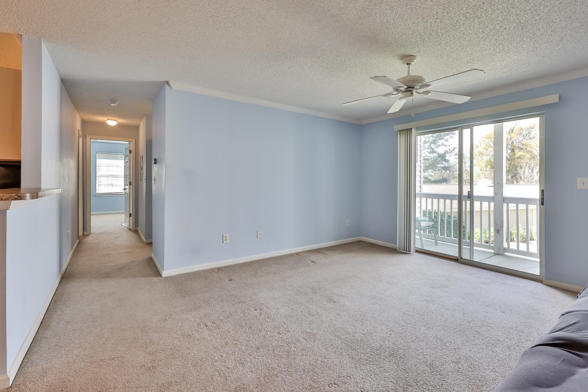 3795 Hitchcock Way Property Photo 4