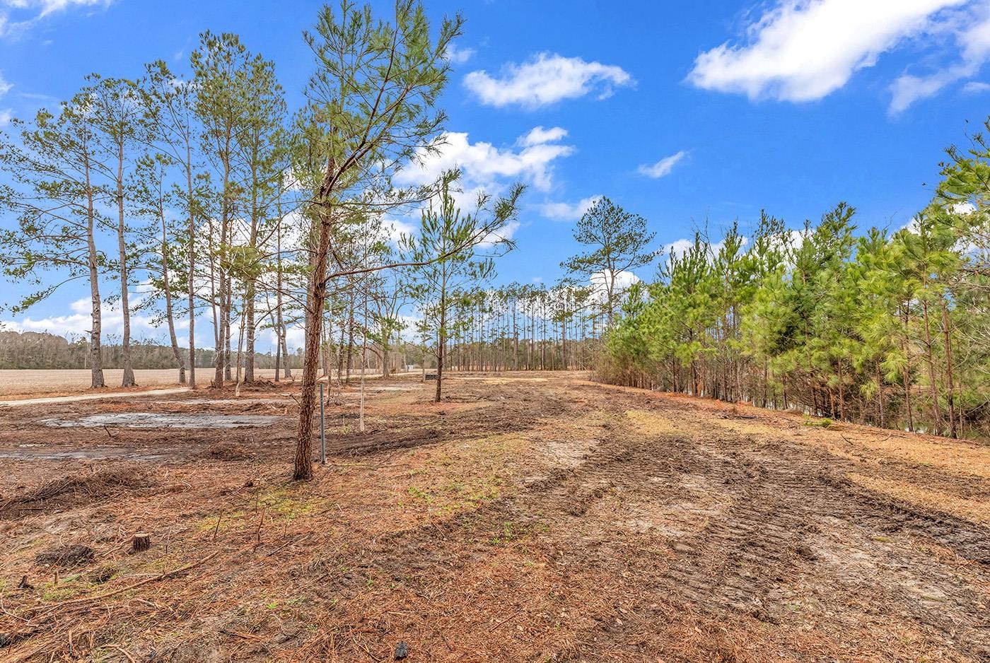 3930 Red Bluff Rd. Property Photo 4