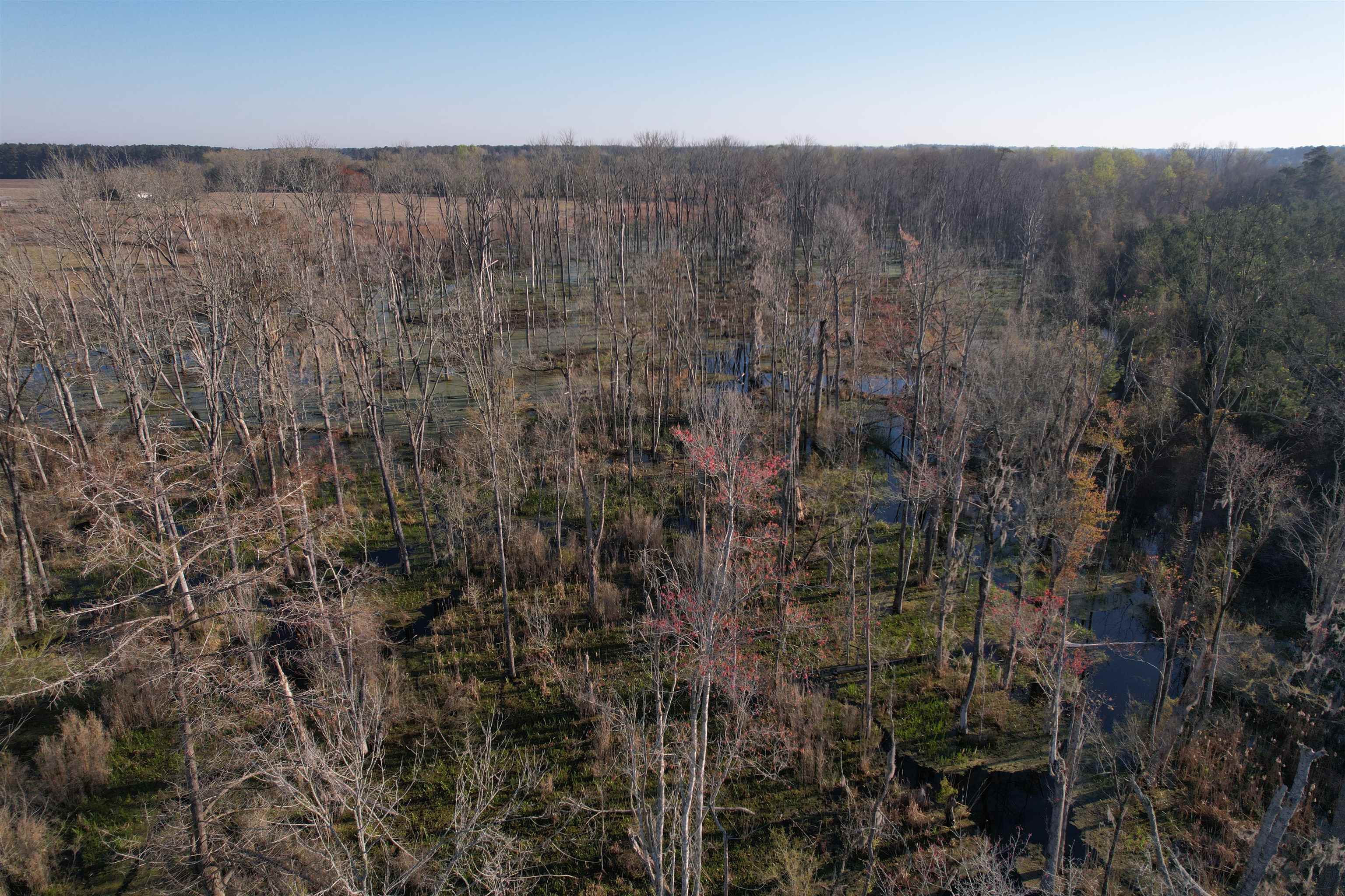 711 Cade Rd. Property Photo 11