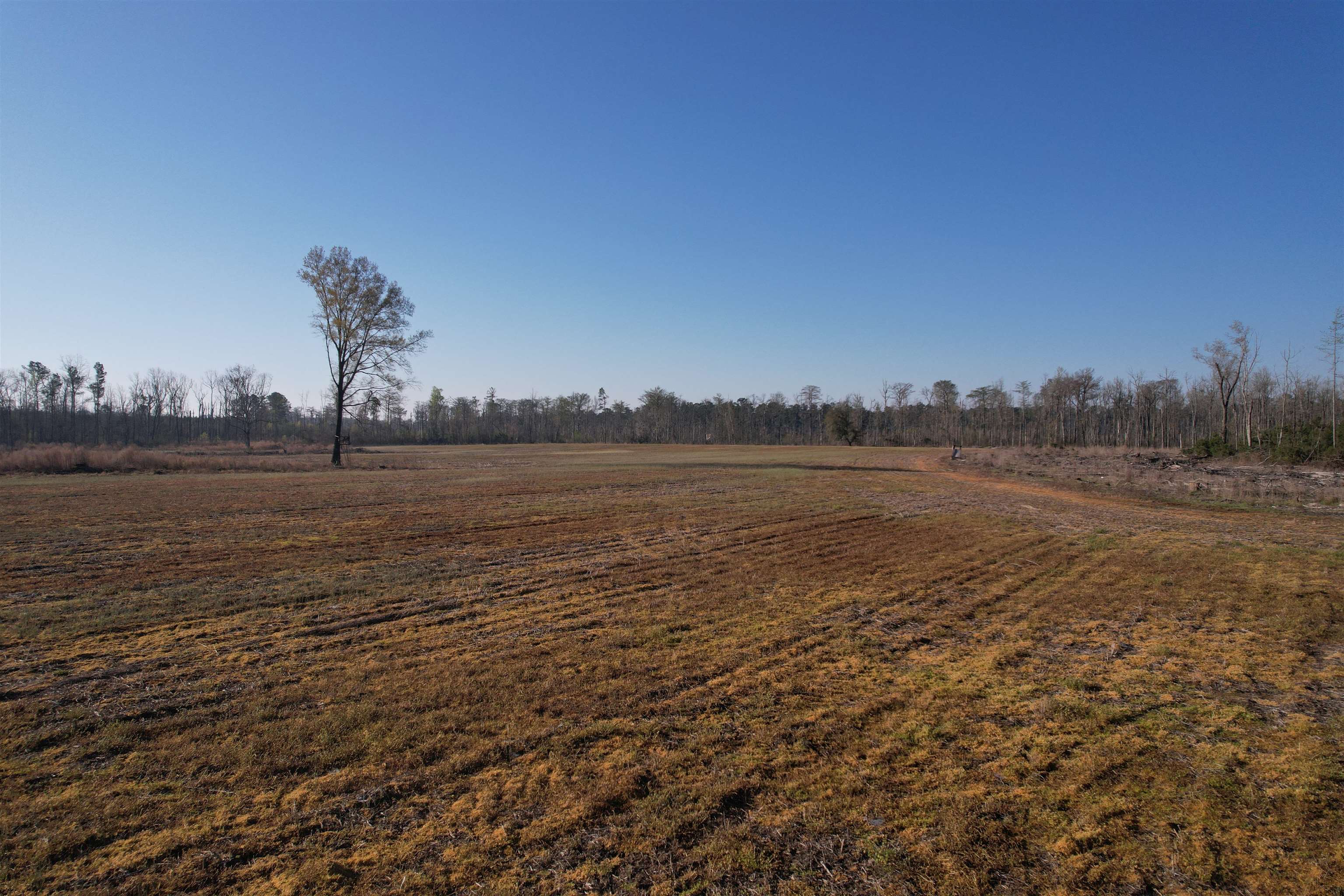 711 Cade Rd. Property Photo 17