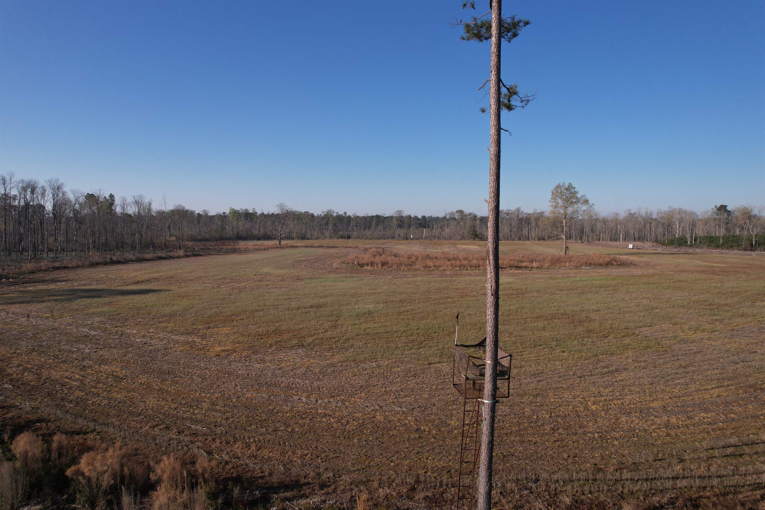 711 Cade Rd. Property Photo 22
