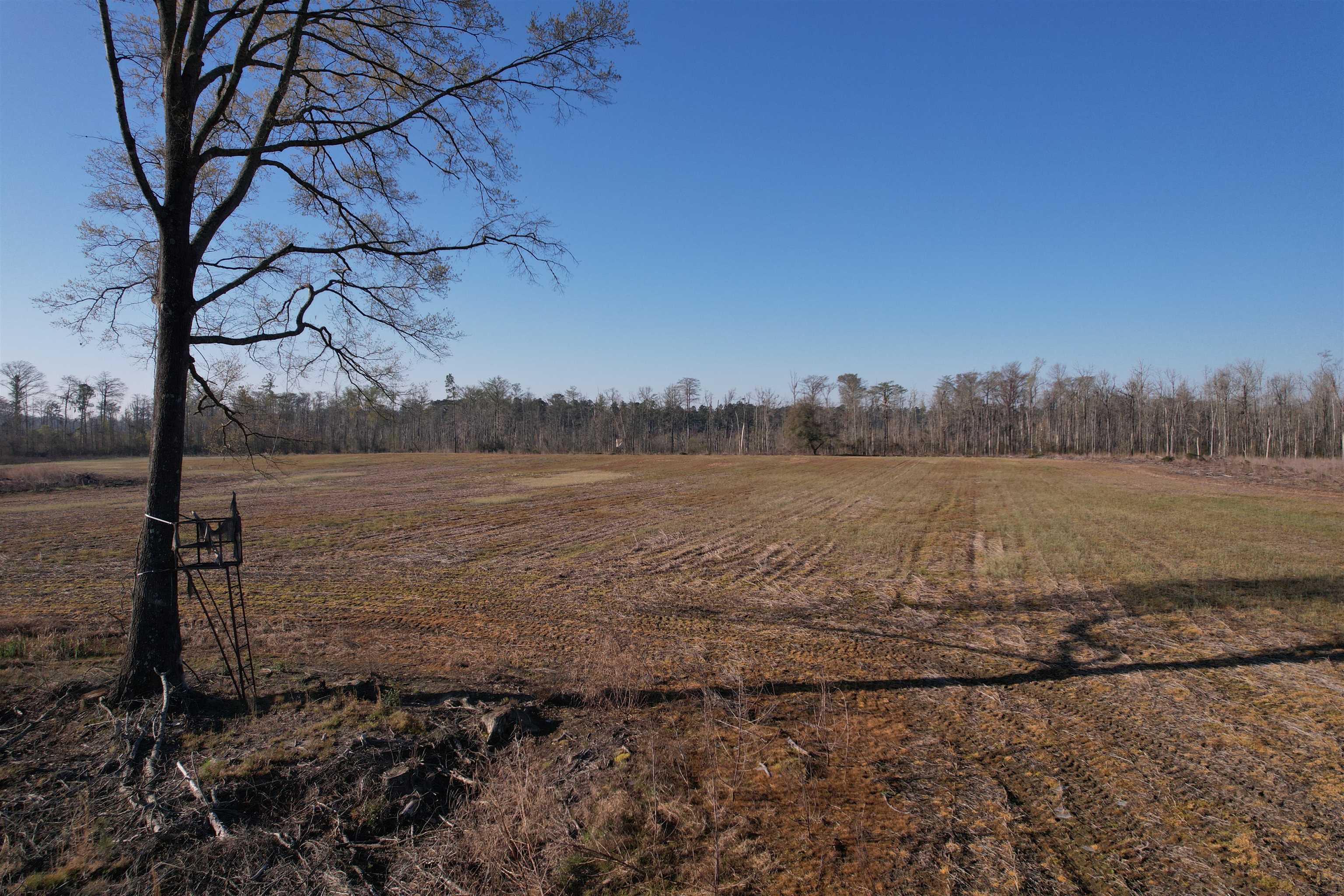 711 Cade Rd. Property Photo 23