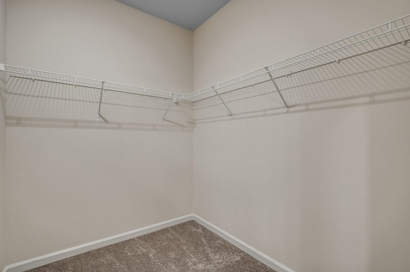 2628 Hartington St Property Photo 22