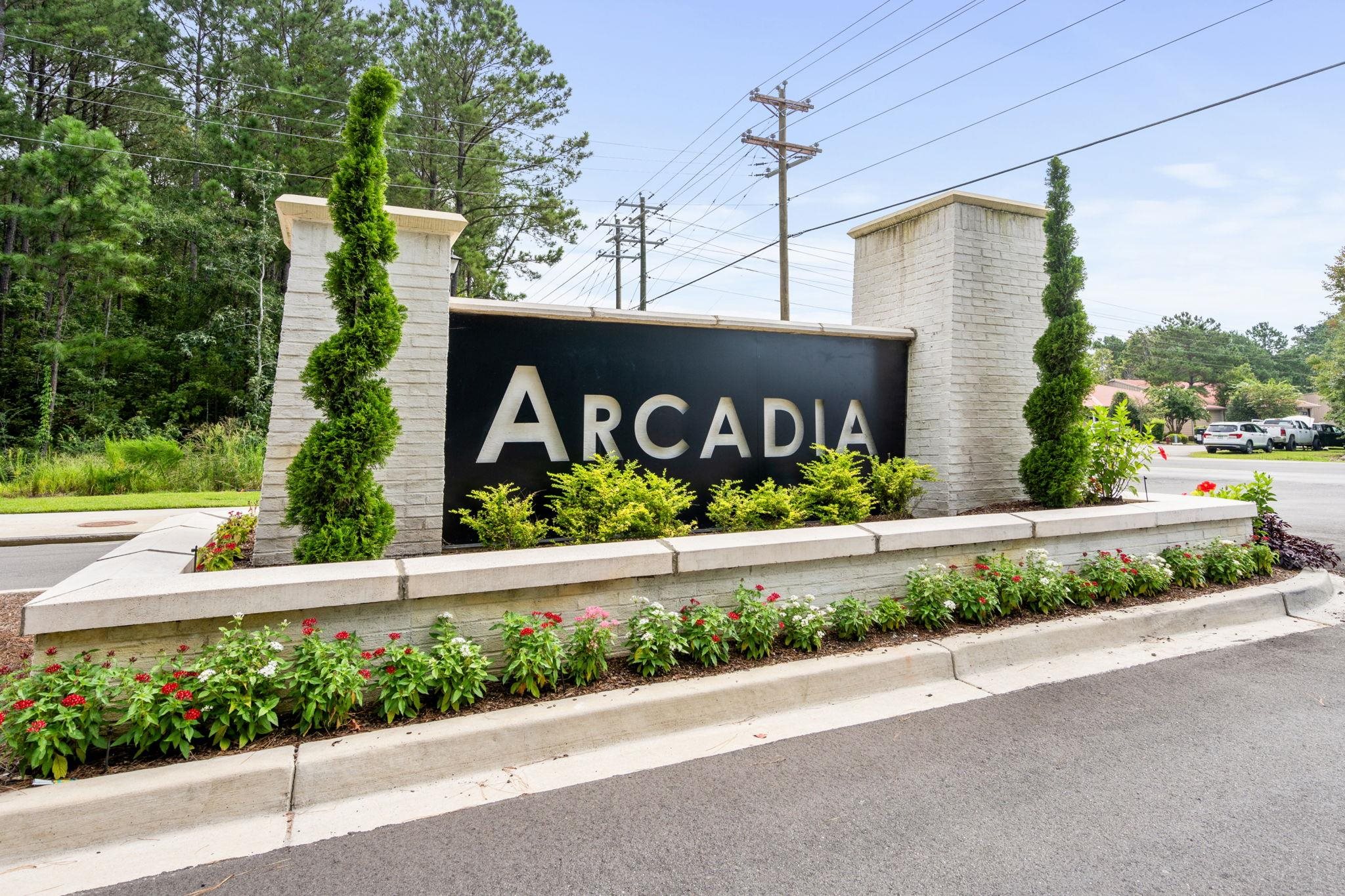 136 Azure Loop Property Photo 65