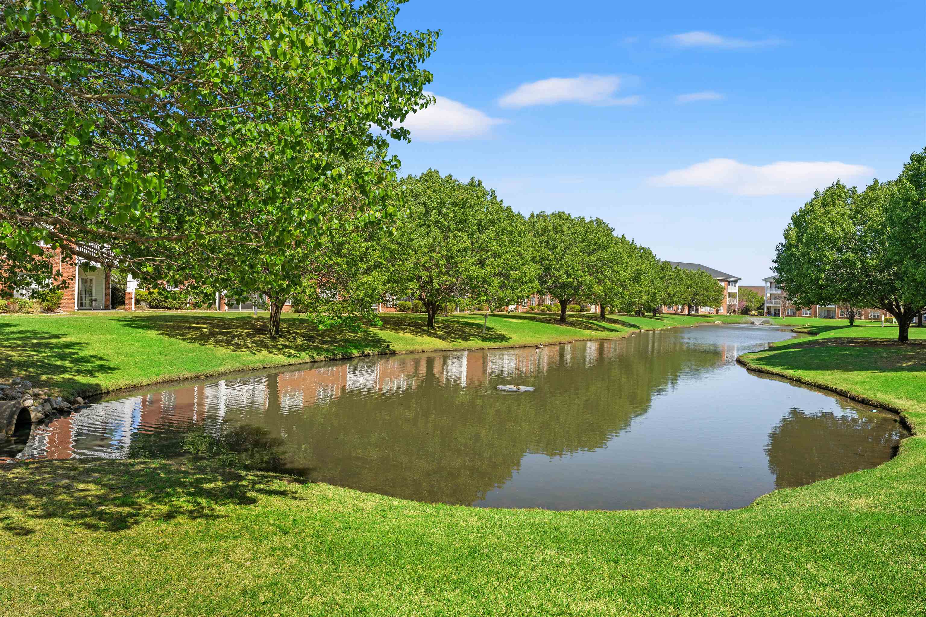 3923 Gladiola Ct. Property Photo 28