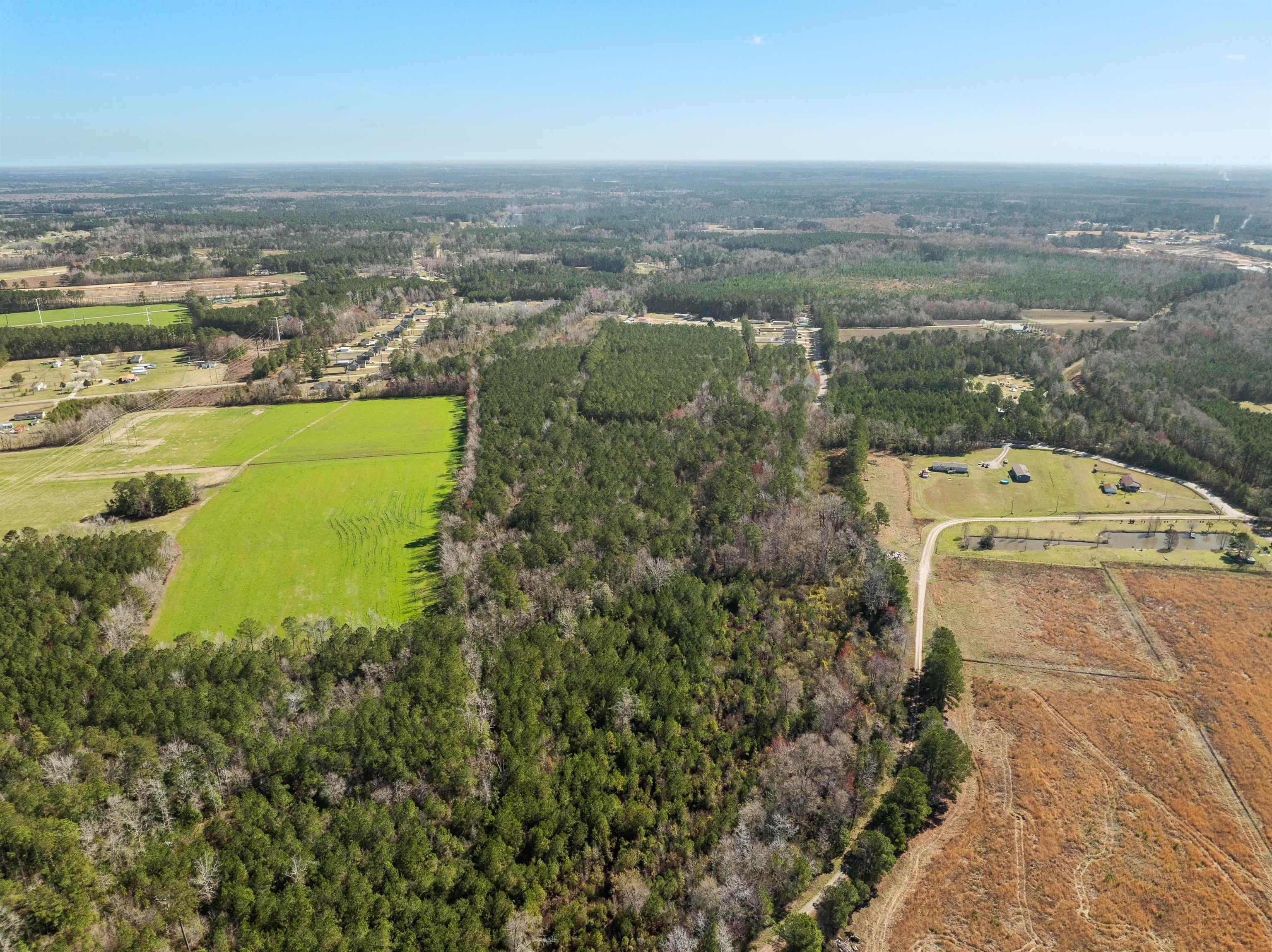 Tbd - Lot 1 & 2 Daphane Dr. Property Photo 8