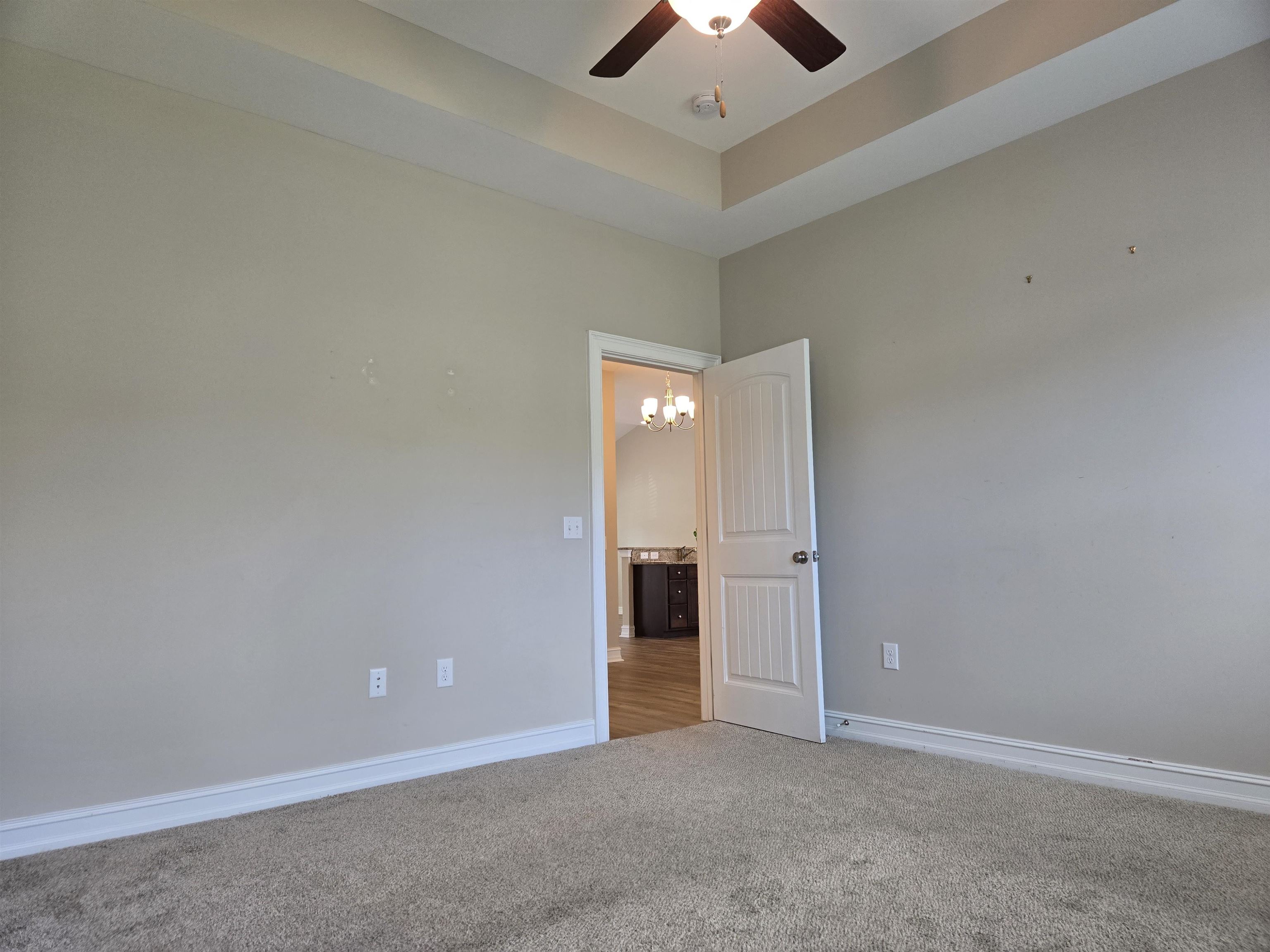 507 Whiddy Loop Property Photo 37