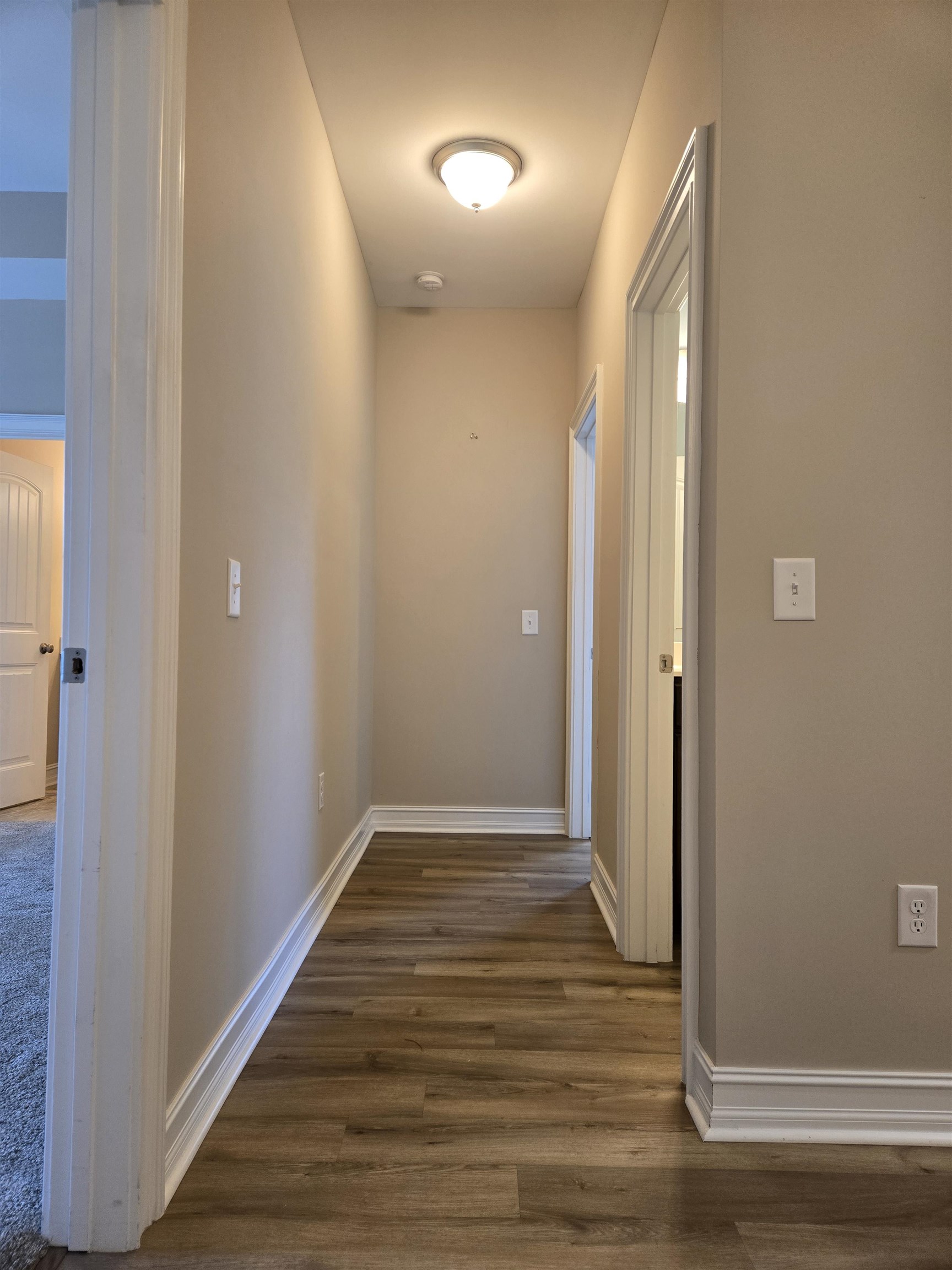 507 Whiddy Loop Property Photo 44