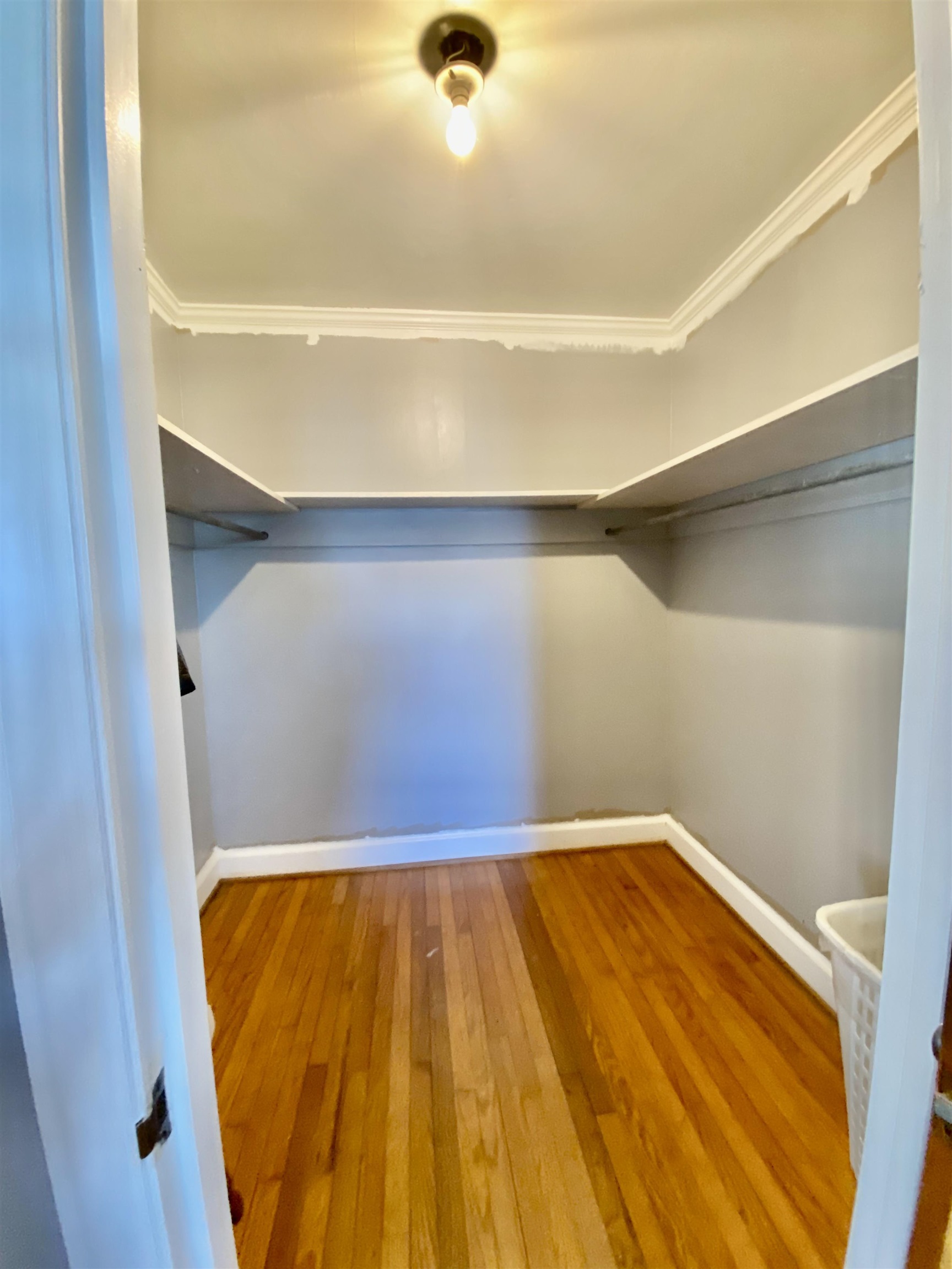 2410 Highway 501 Property Photo 10