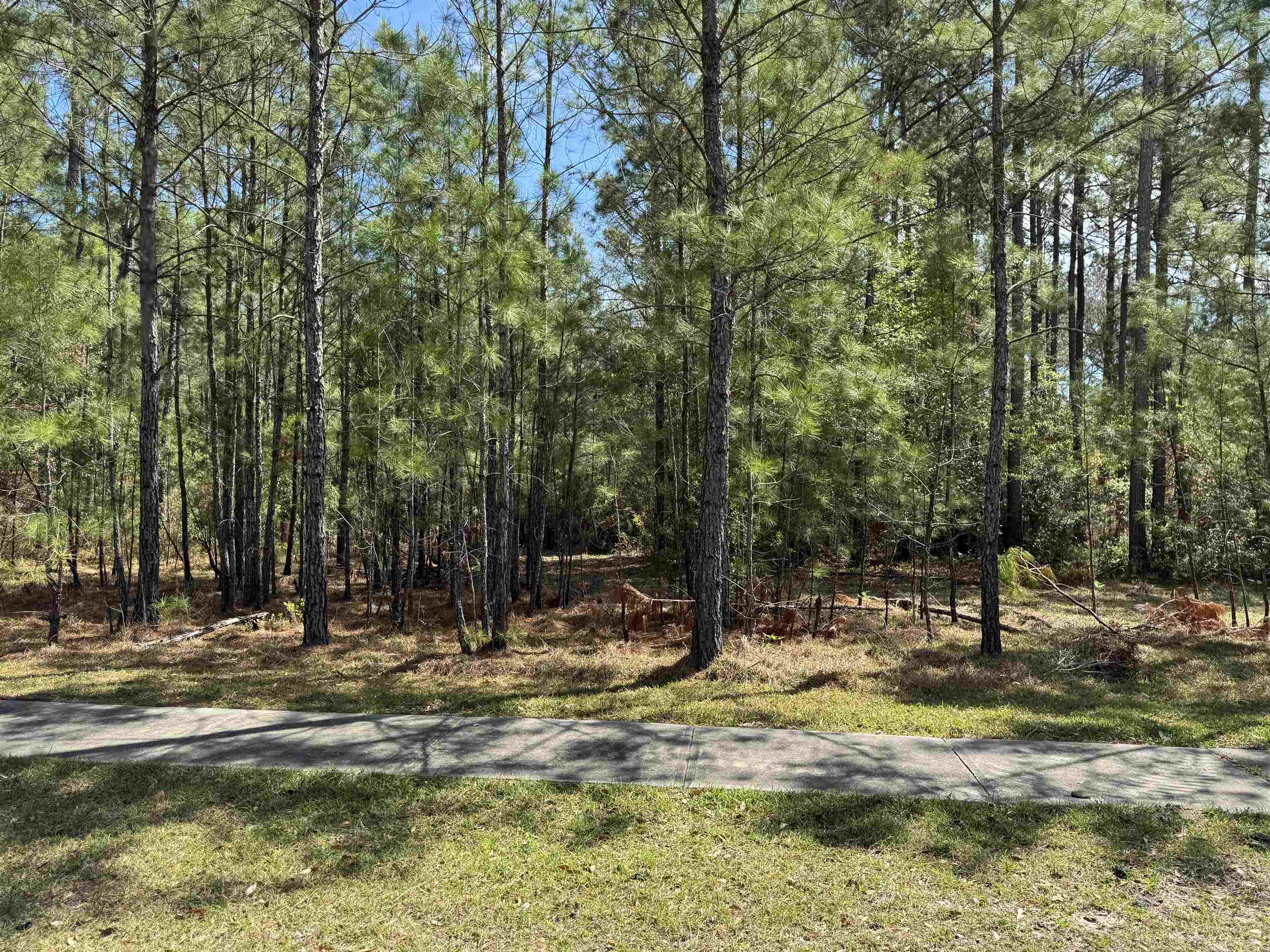 113 Pineberry Dr. Property Photo 1