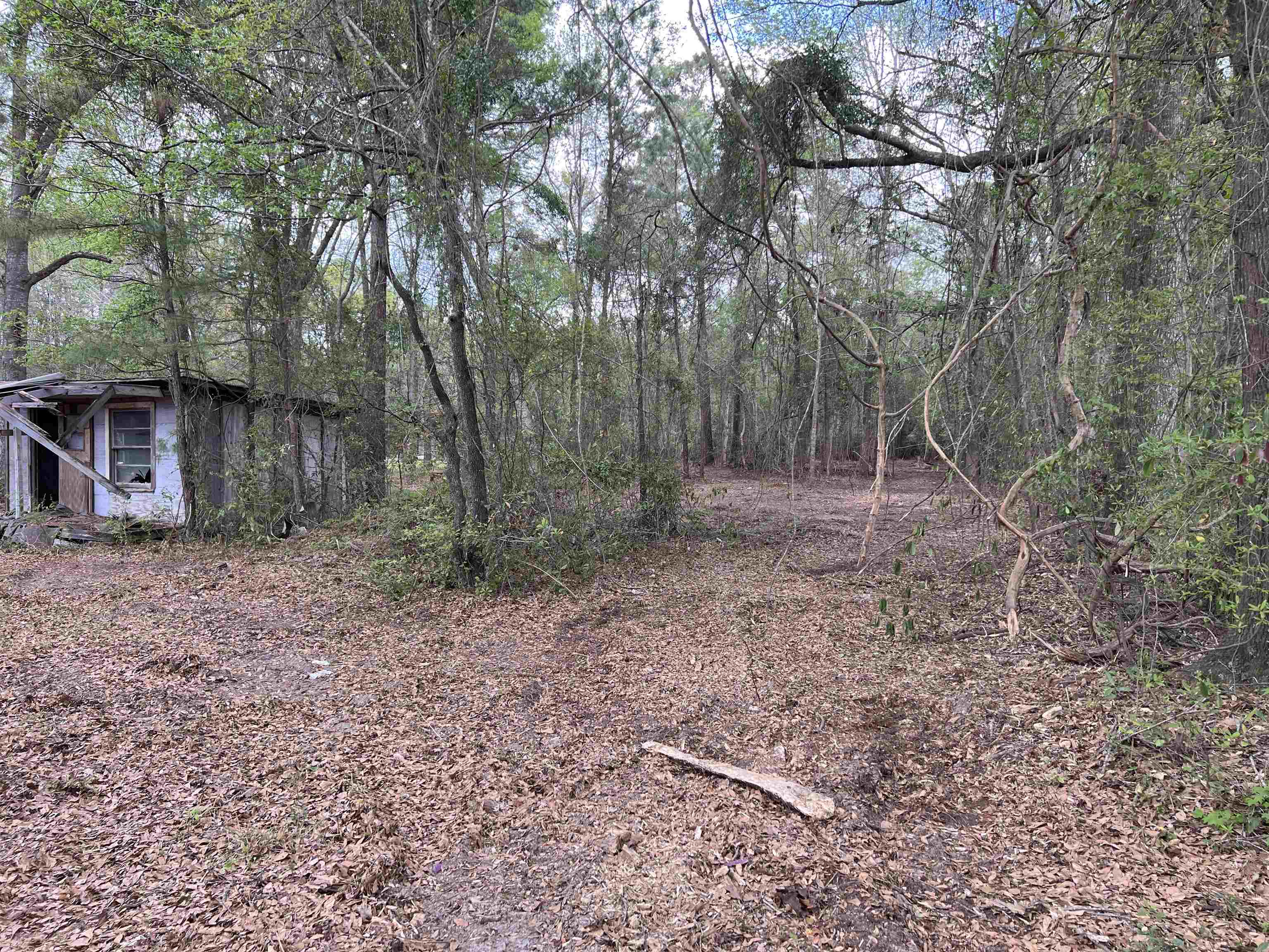 11094 Old Pee Dee Rd. Property Photo 4