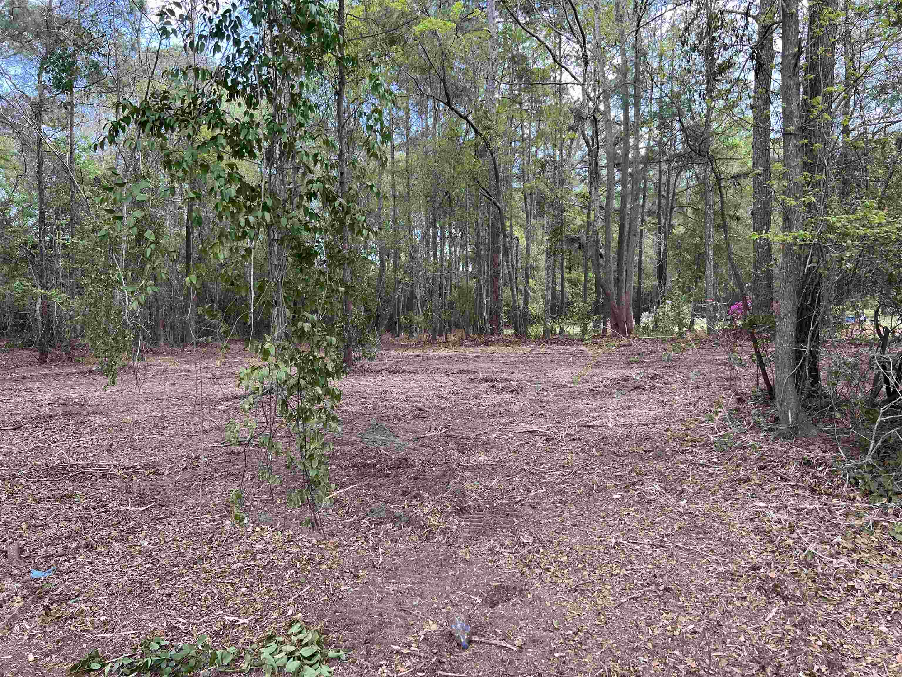 11094 Old Pee Dee Rd. Property Photo 6